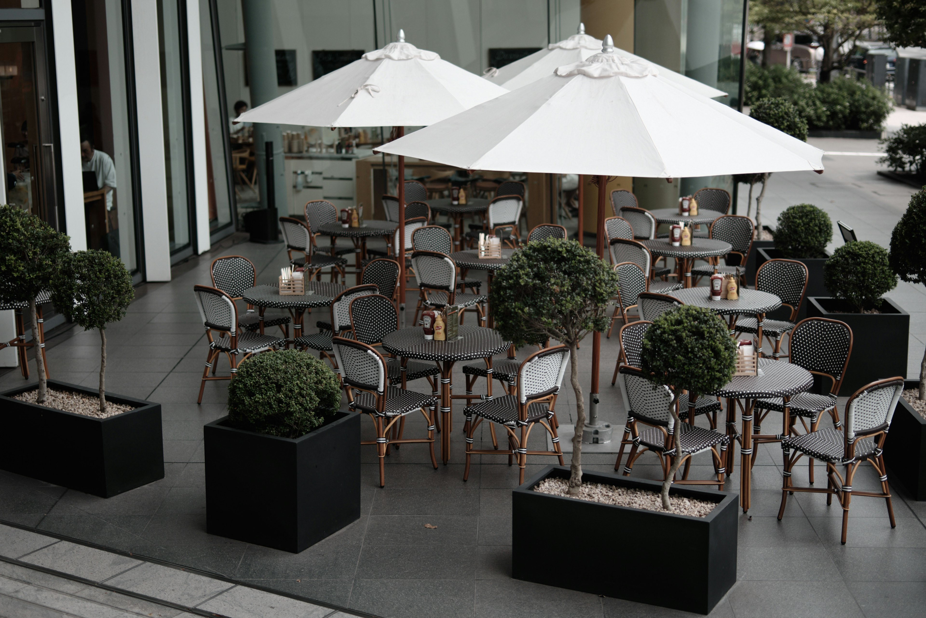 Terraza de café al aire libre con sombrillas blancas y plantas verdes