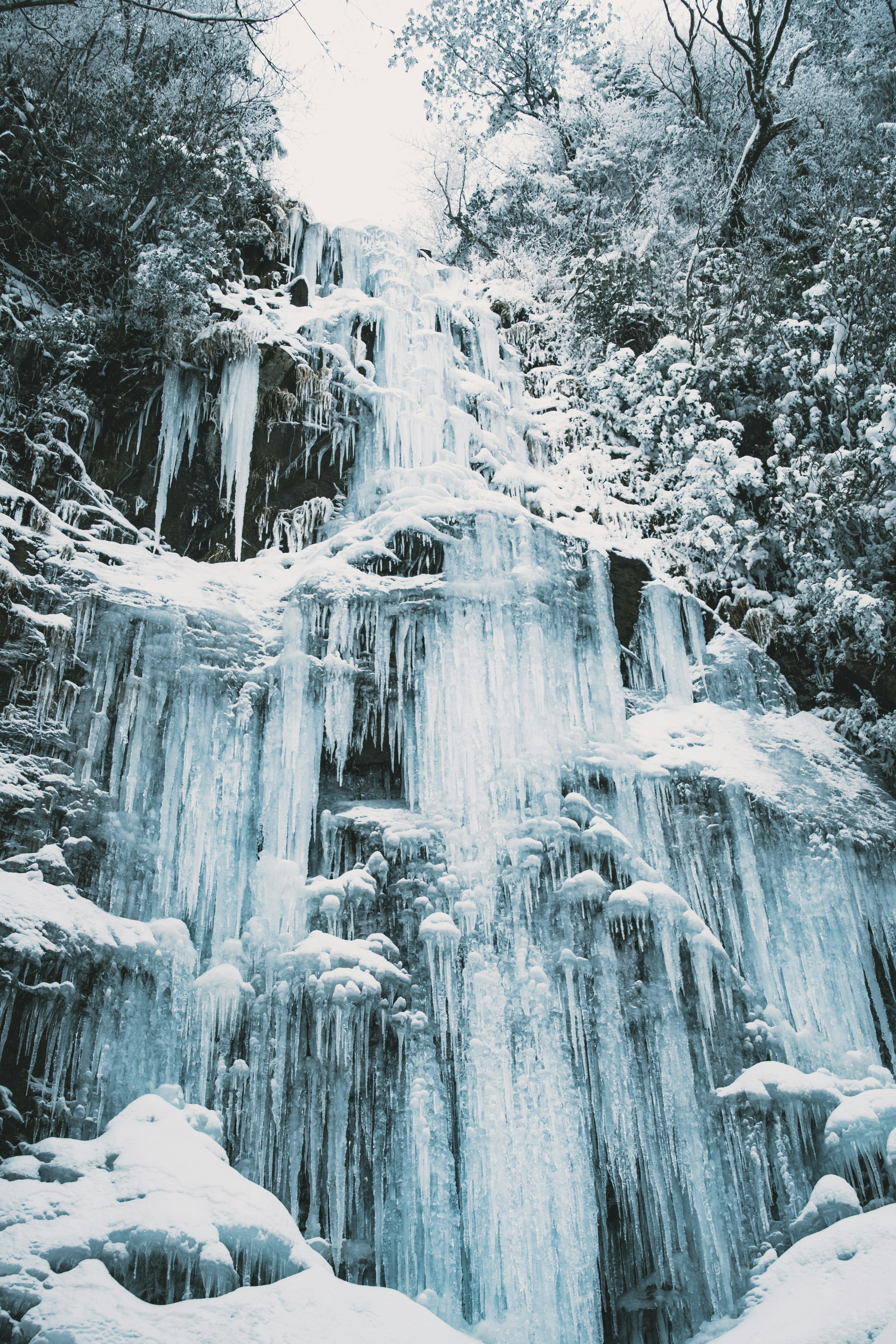 Una bellissima cascata congelata circondata da neve e ghiaccio