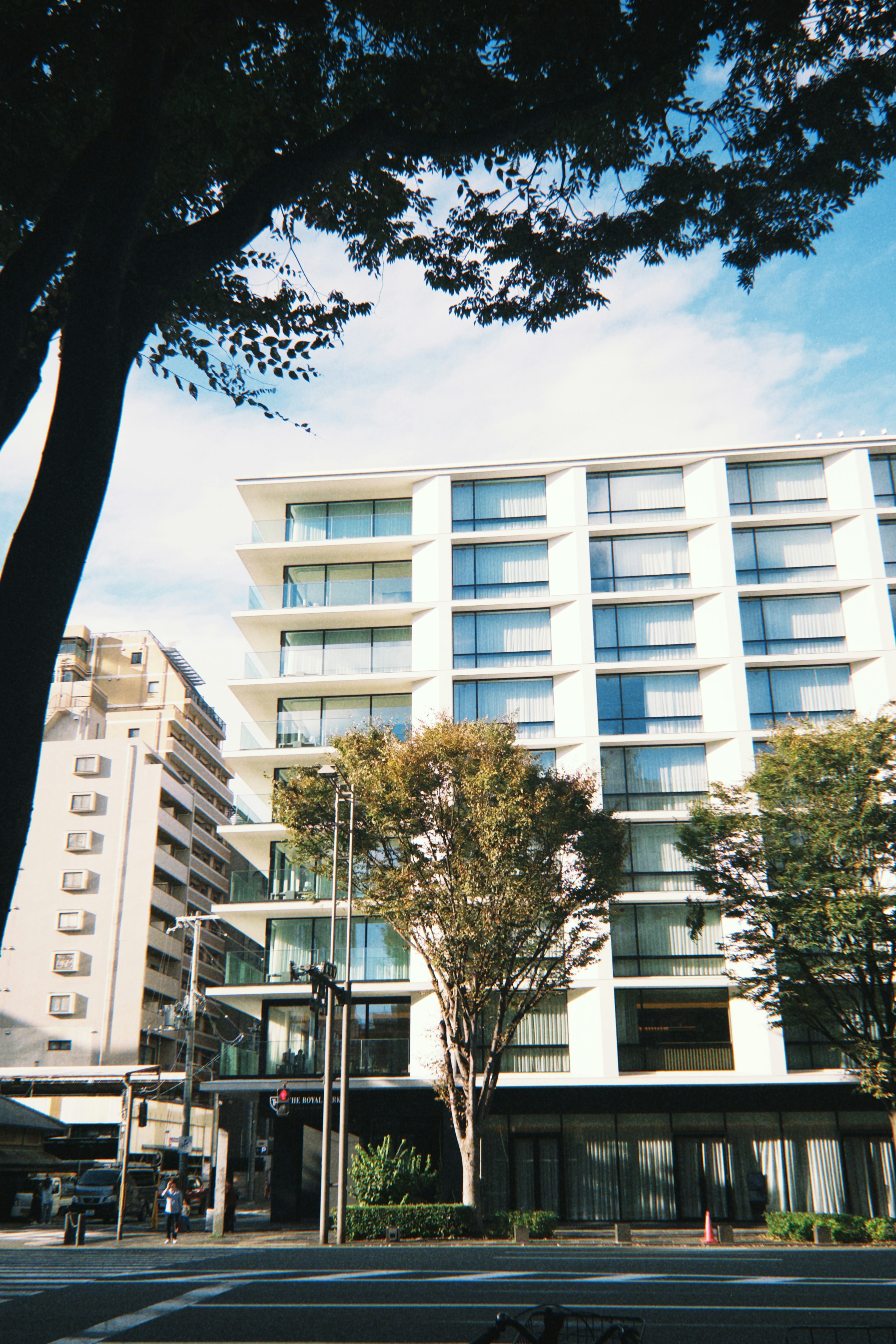 Bâtiment moderne avec grandes fenêtres et ciel bleu clair entouré d'arbres verts