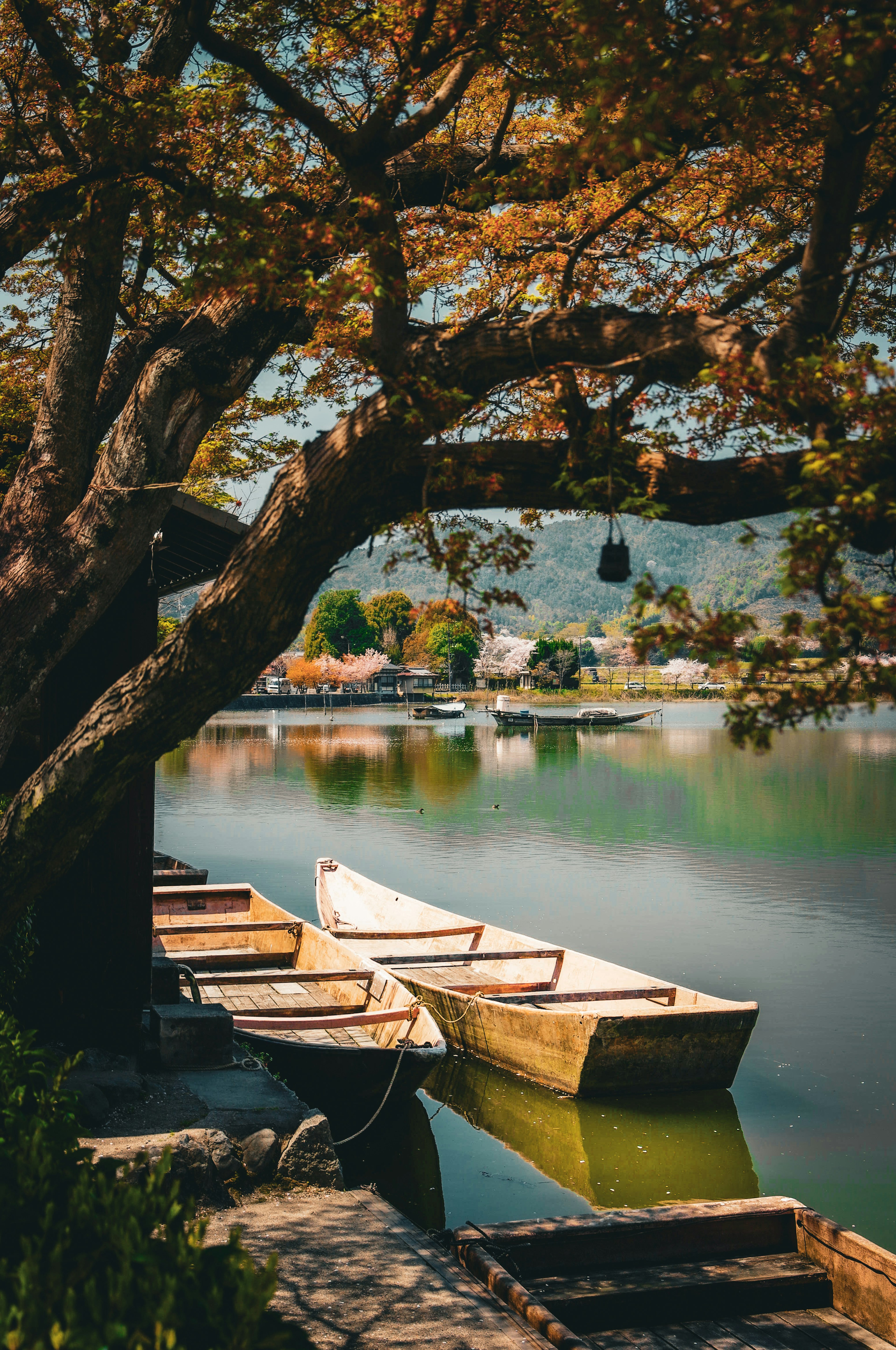 Serene lakeside scene with small boats and colorful trees