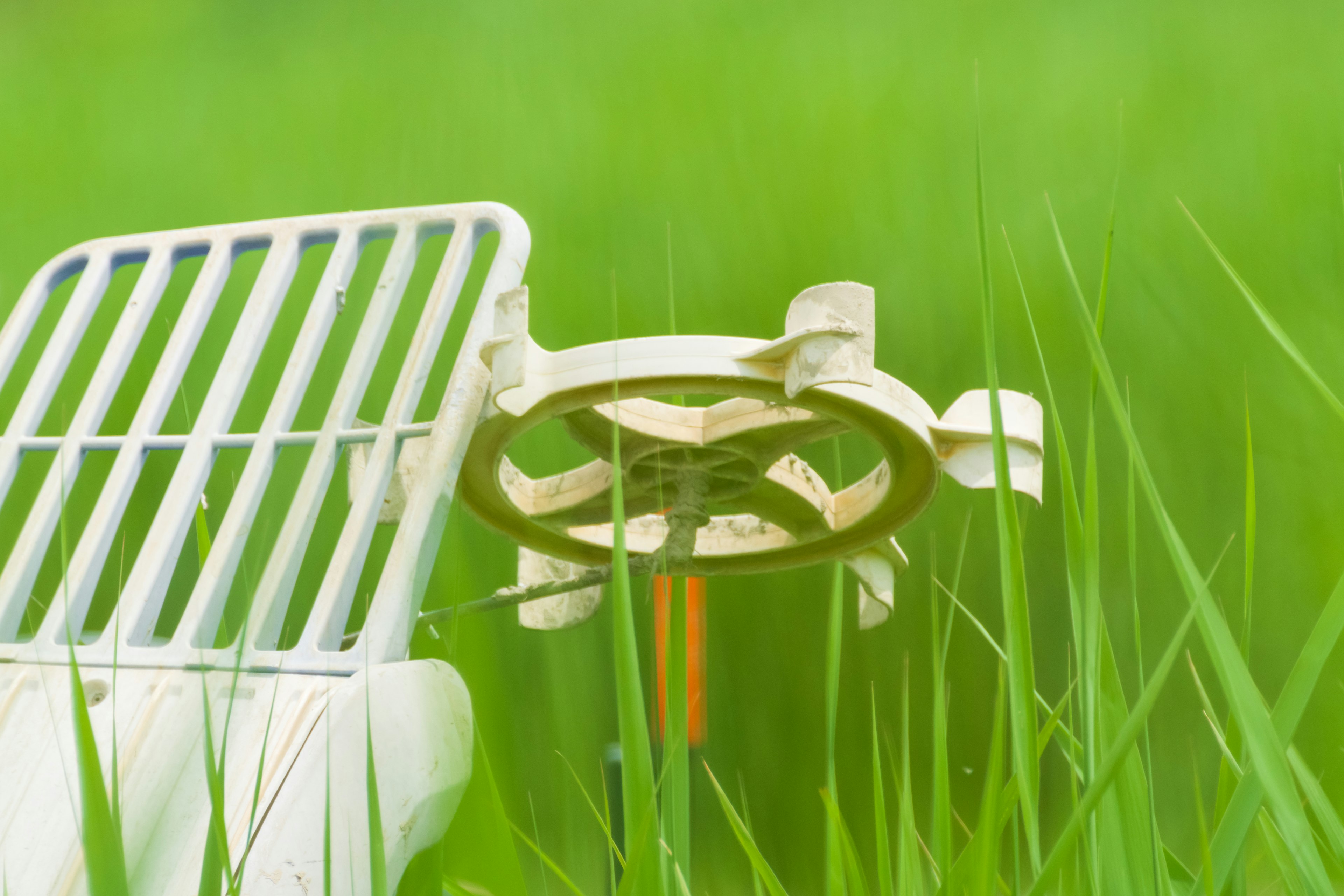 Objet en plastique blanc partiellement caché dans l'herbe verte avec des caractéristiques distinctives