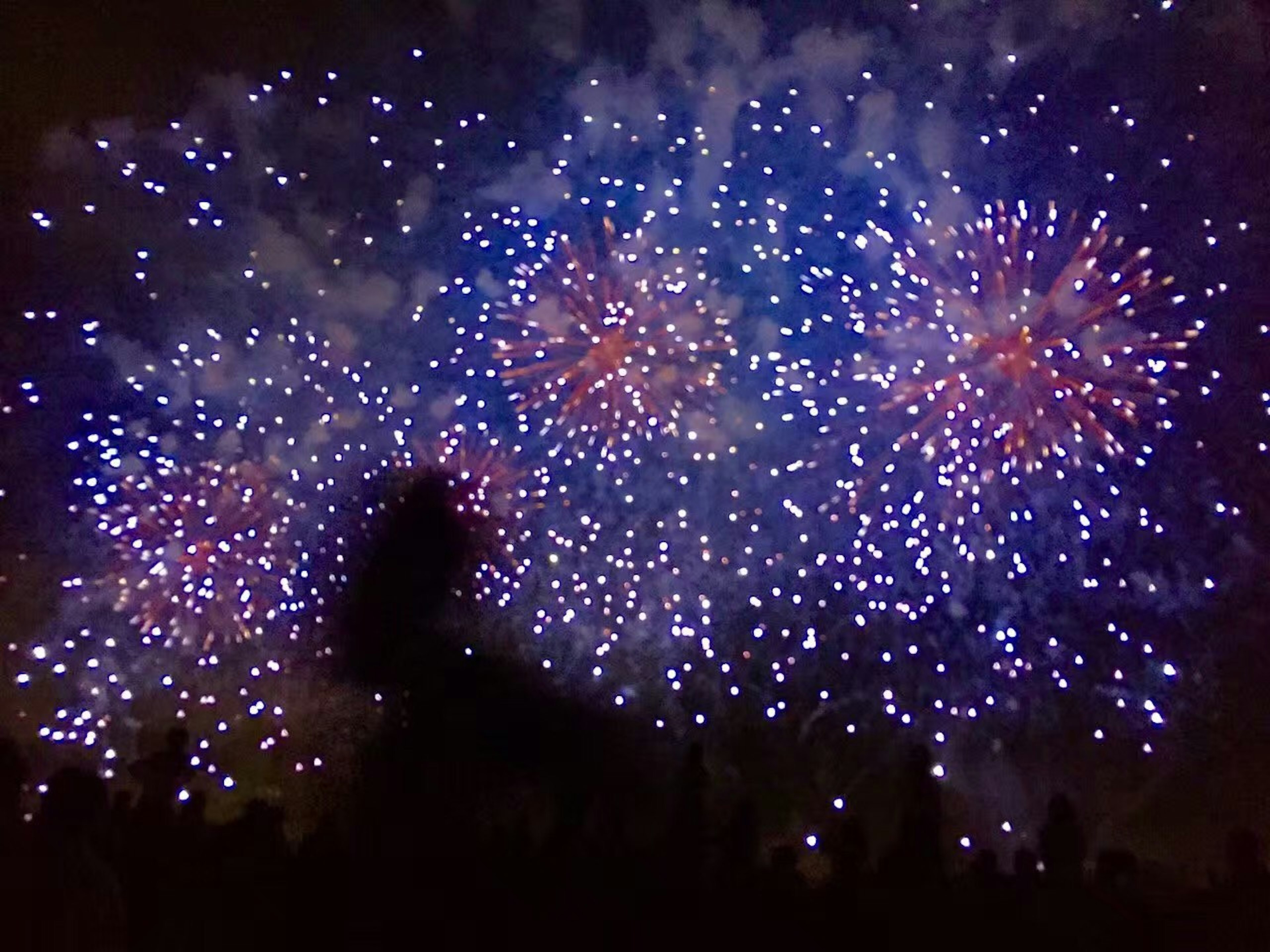 Spettacolo di fuochi d'artificio colorati in blu e rosso nel cielo notturno con silhouette di persone