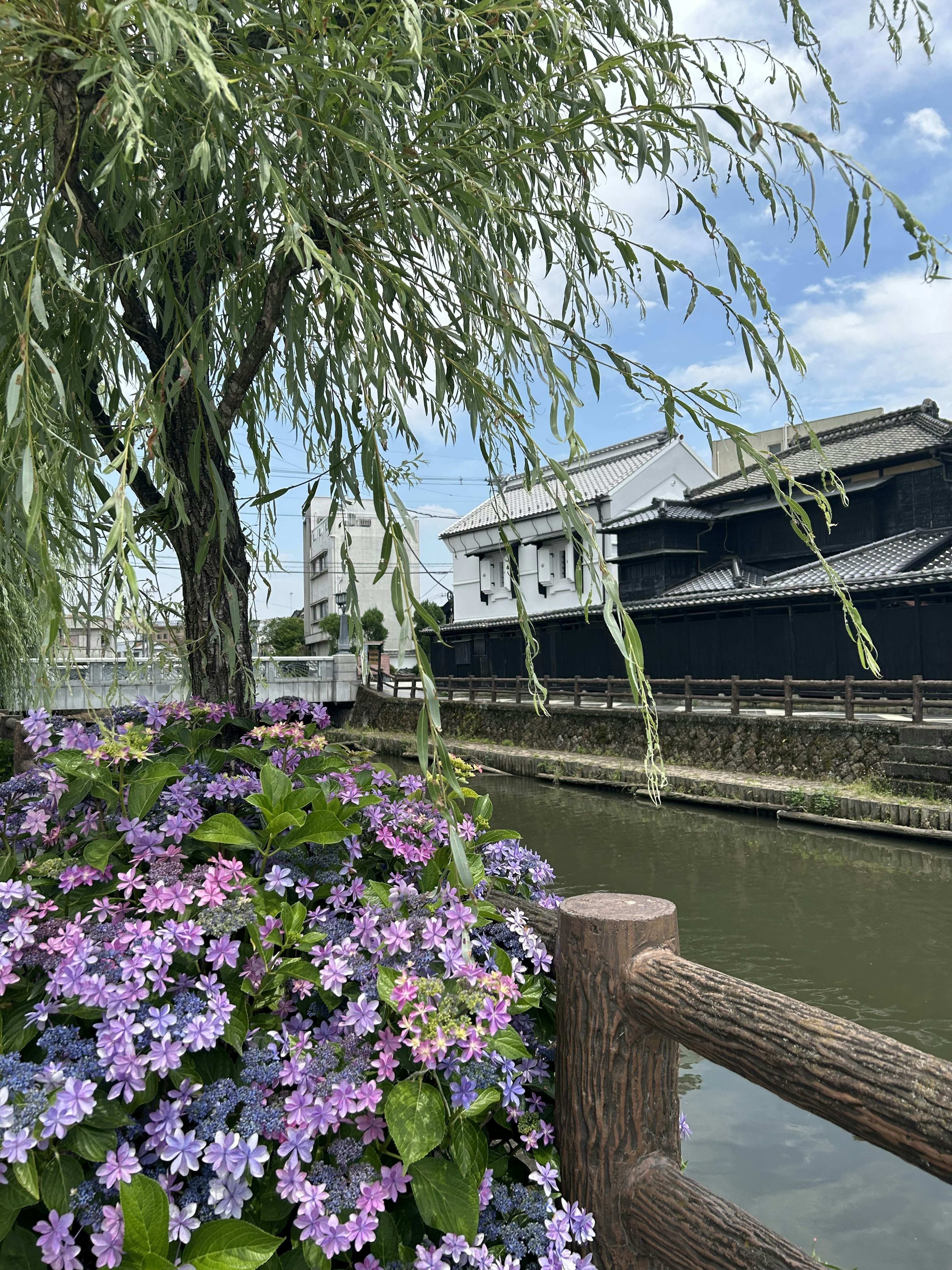 川辺の紫色の花と柳の木がある風景