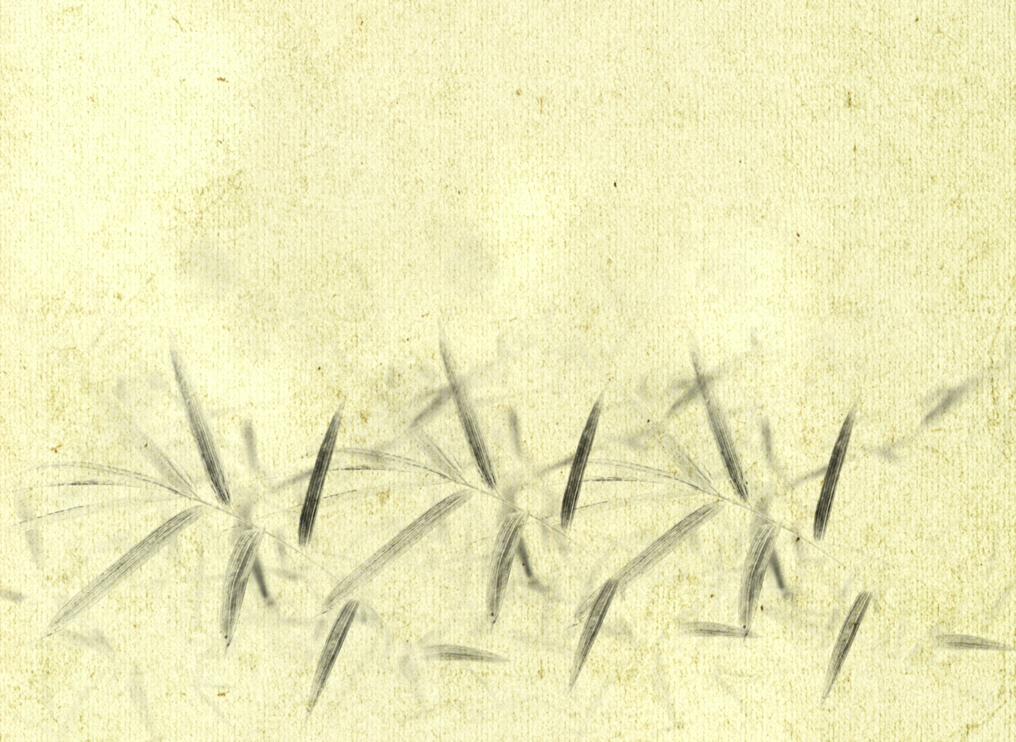 Delicate grass-like shapes drawn on a pale background