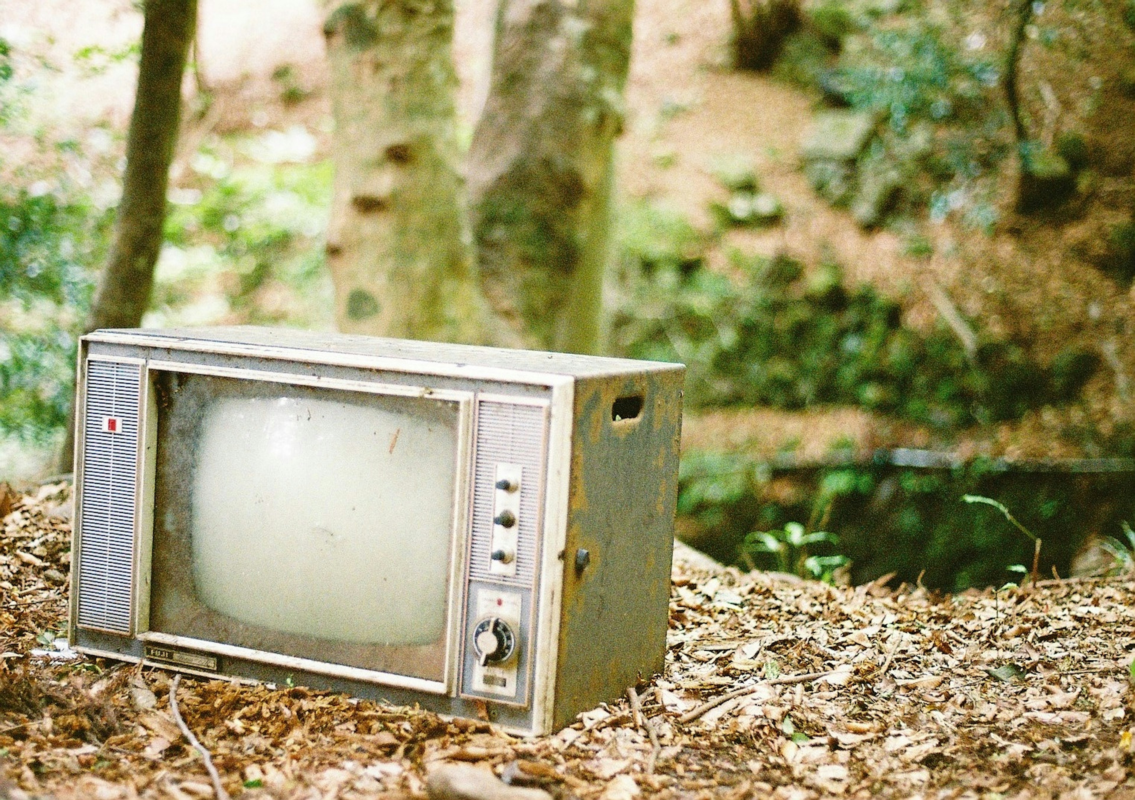 Un vieux téléviseur placé dans un cadre forestier