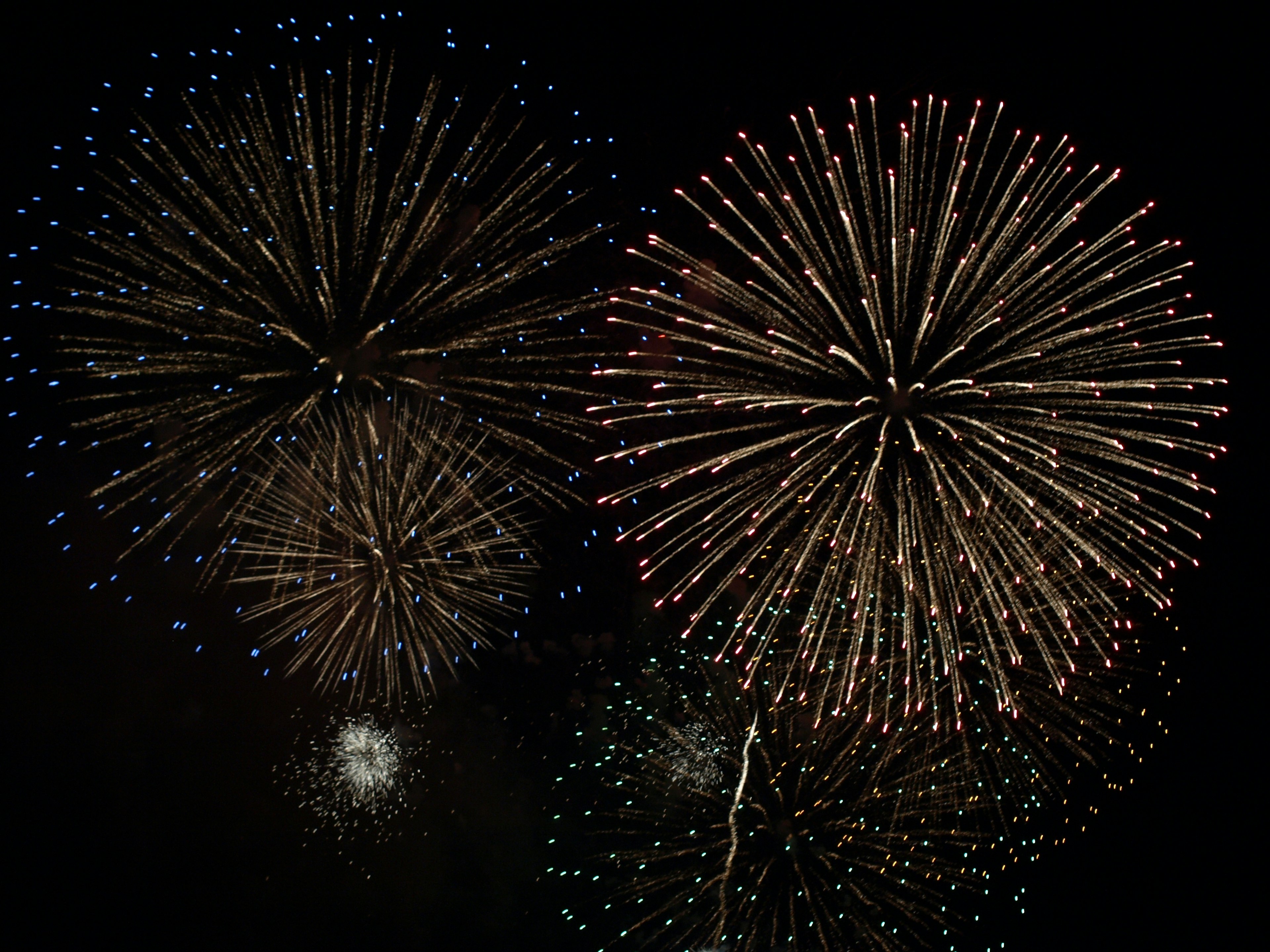 Fuegos artificiales coloridos estallando en el cielo nocturno