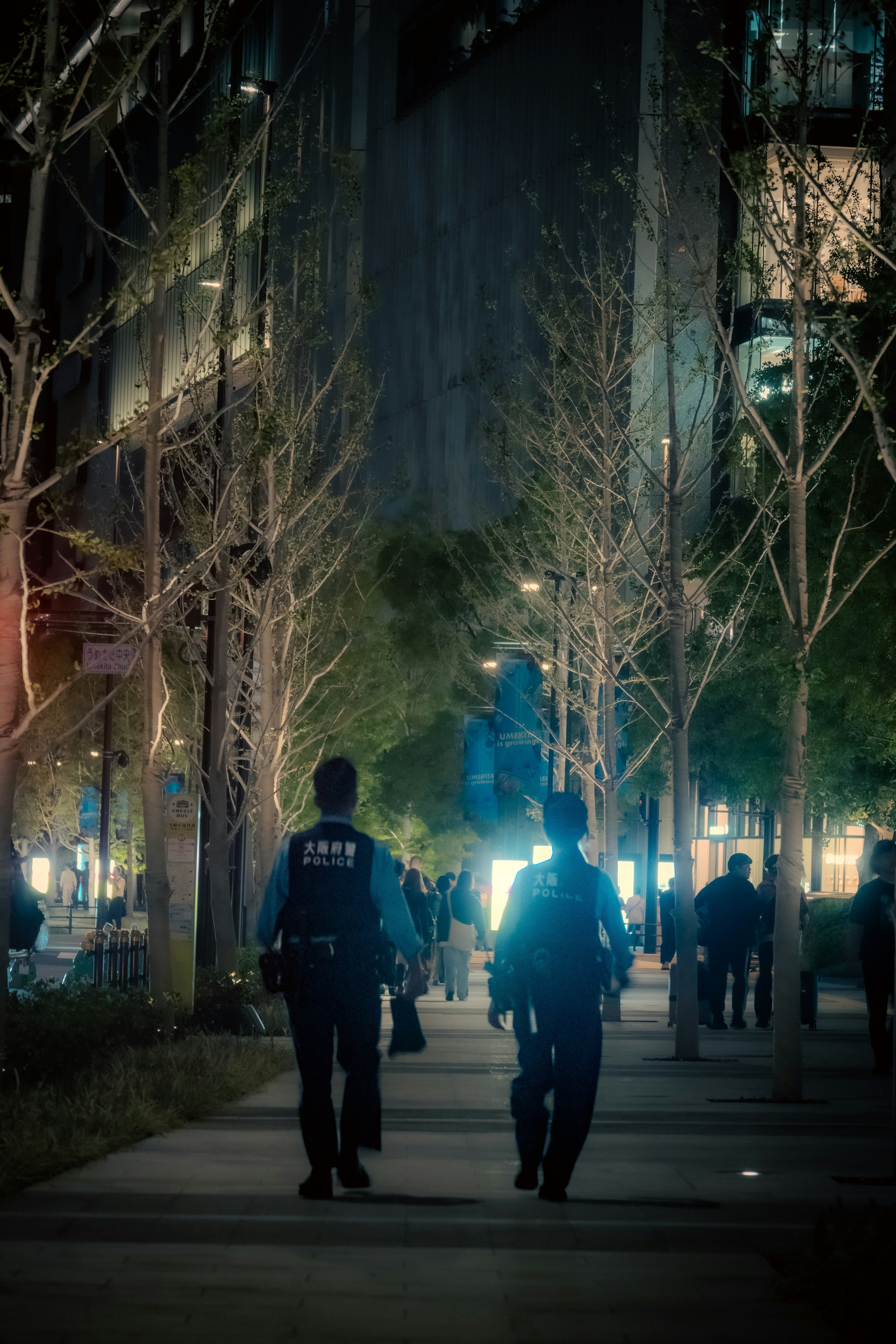 两名警察在夜晚的城市中行走，周围有行人