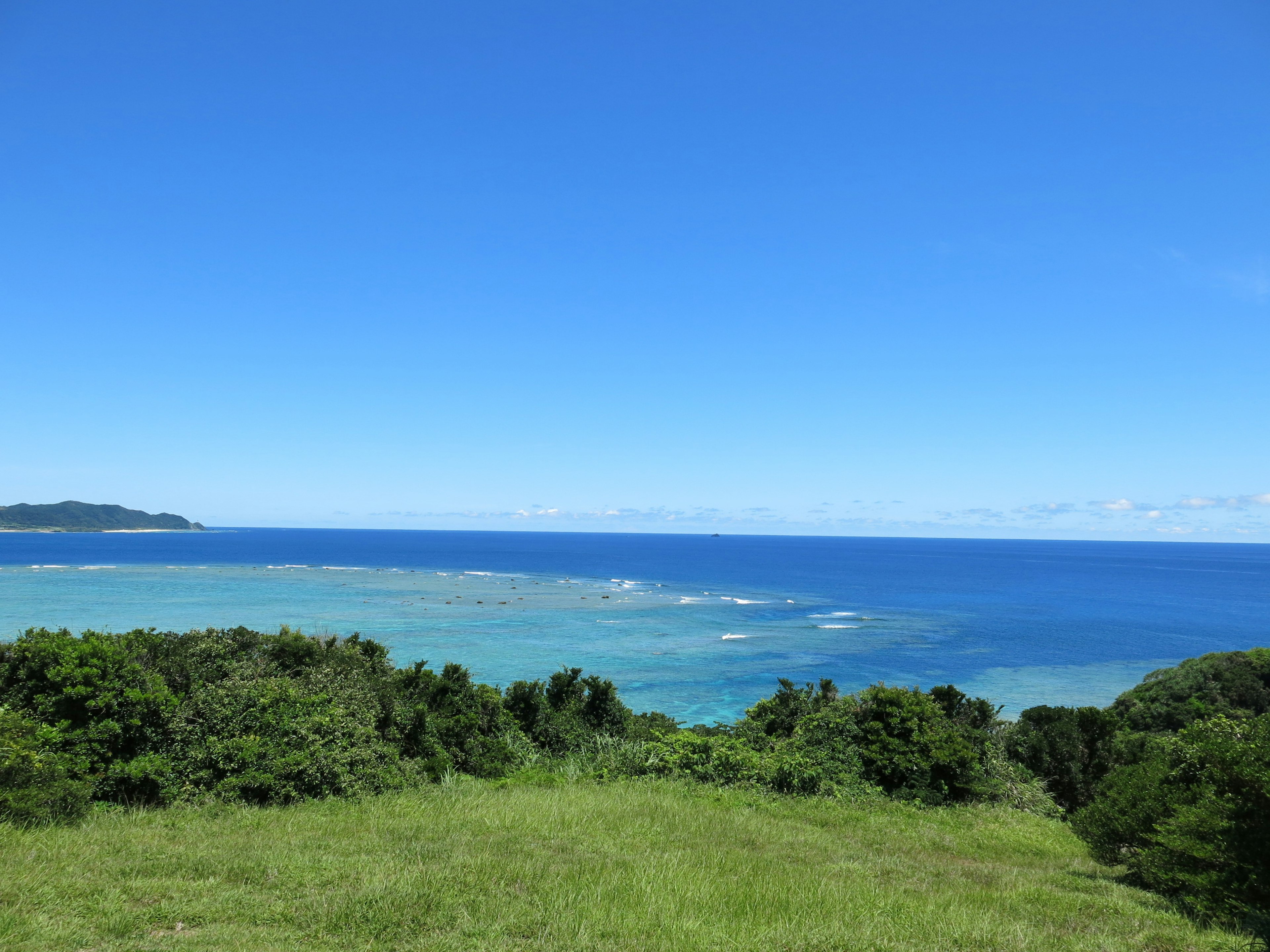 Vast ocean view with clear blue sky and green grassland