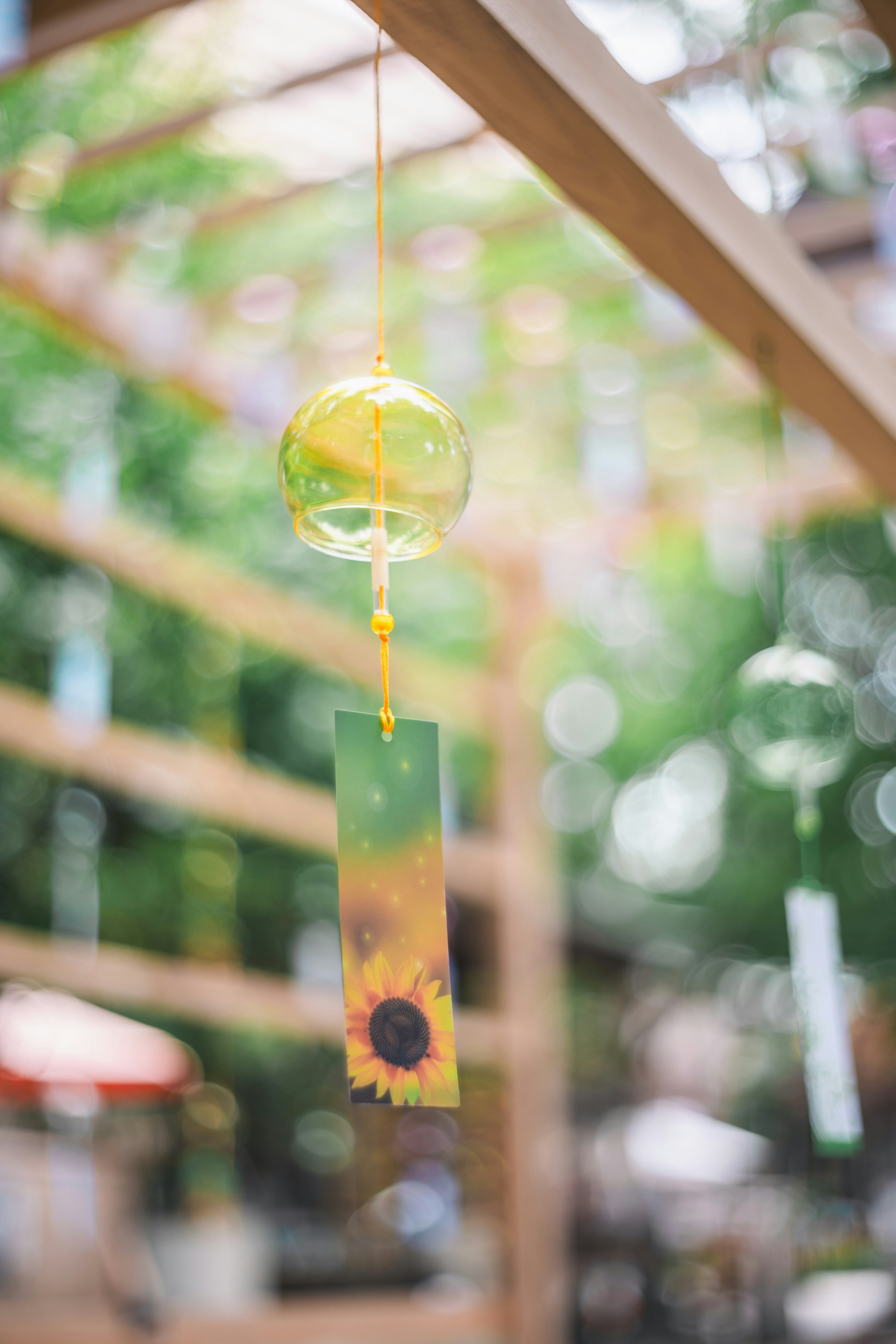 Une cloche en verre transparent avec une illustration de tournesol suspendue dans un cadre verdoyant