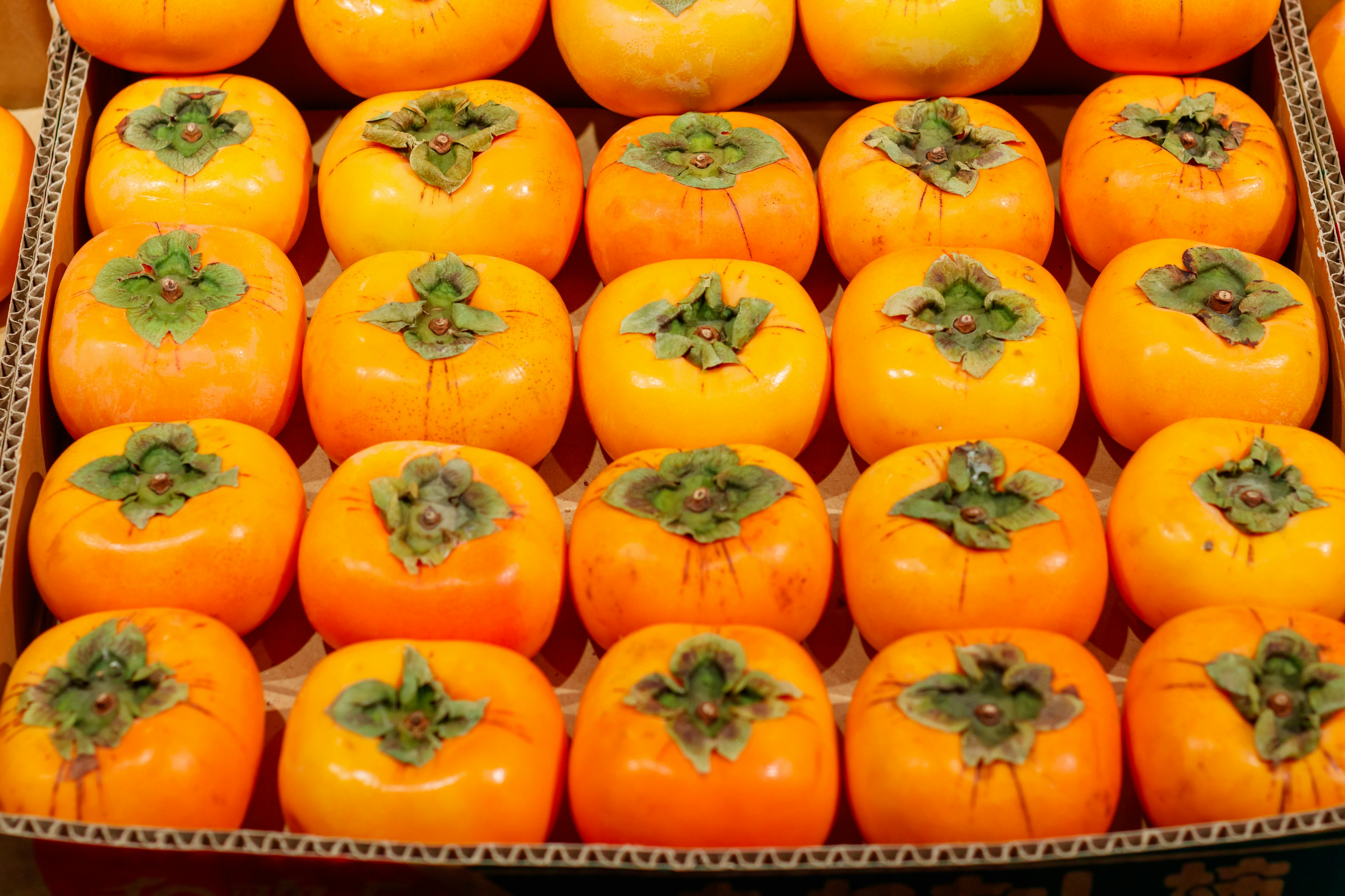 Una caja llena de caquis naranjas organizados ordenadamente