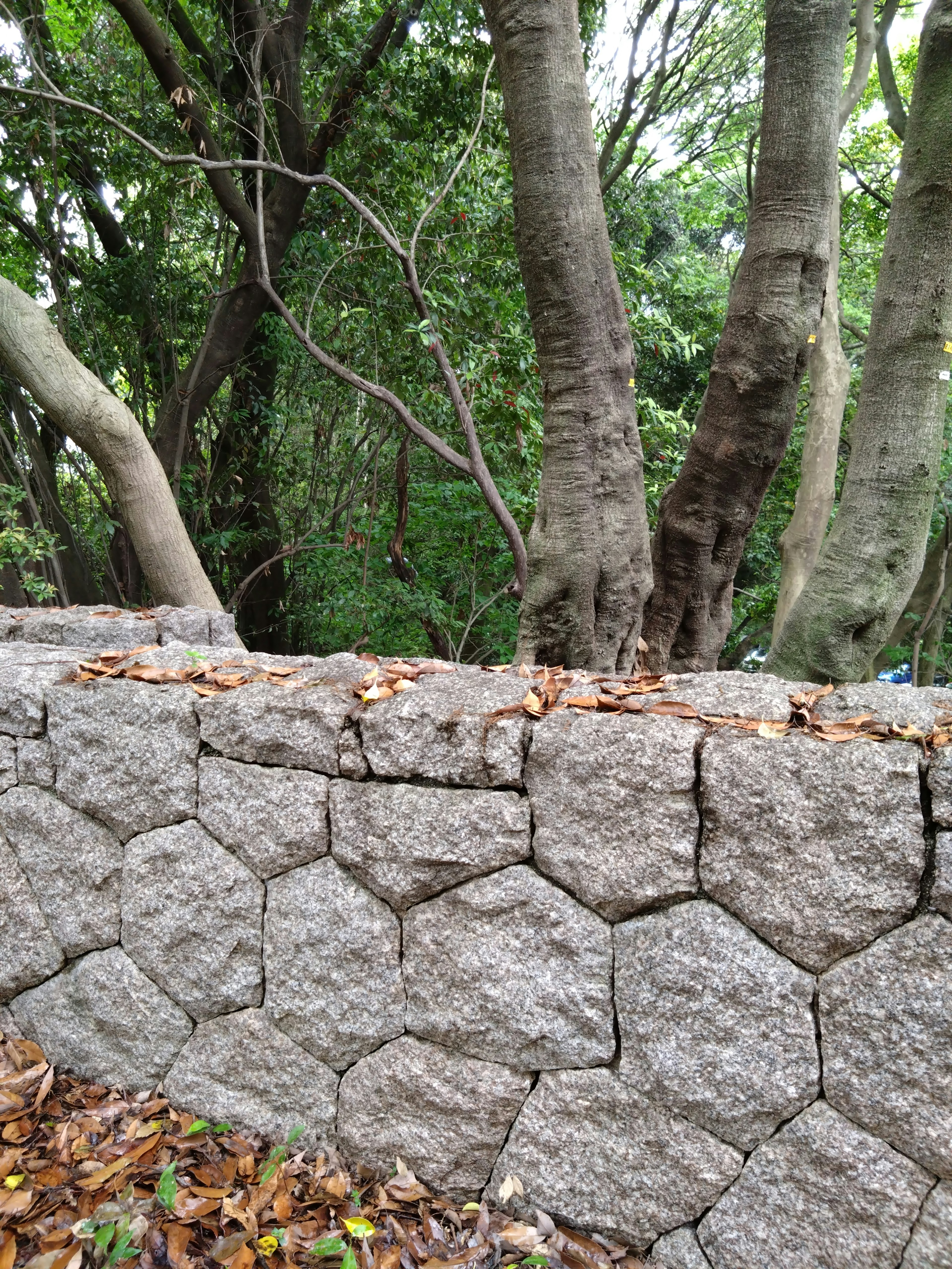 Stone wall with lush green trees in the background