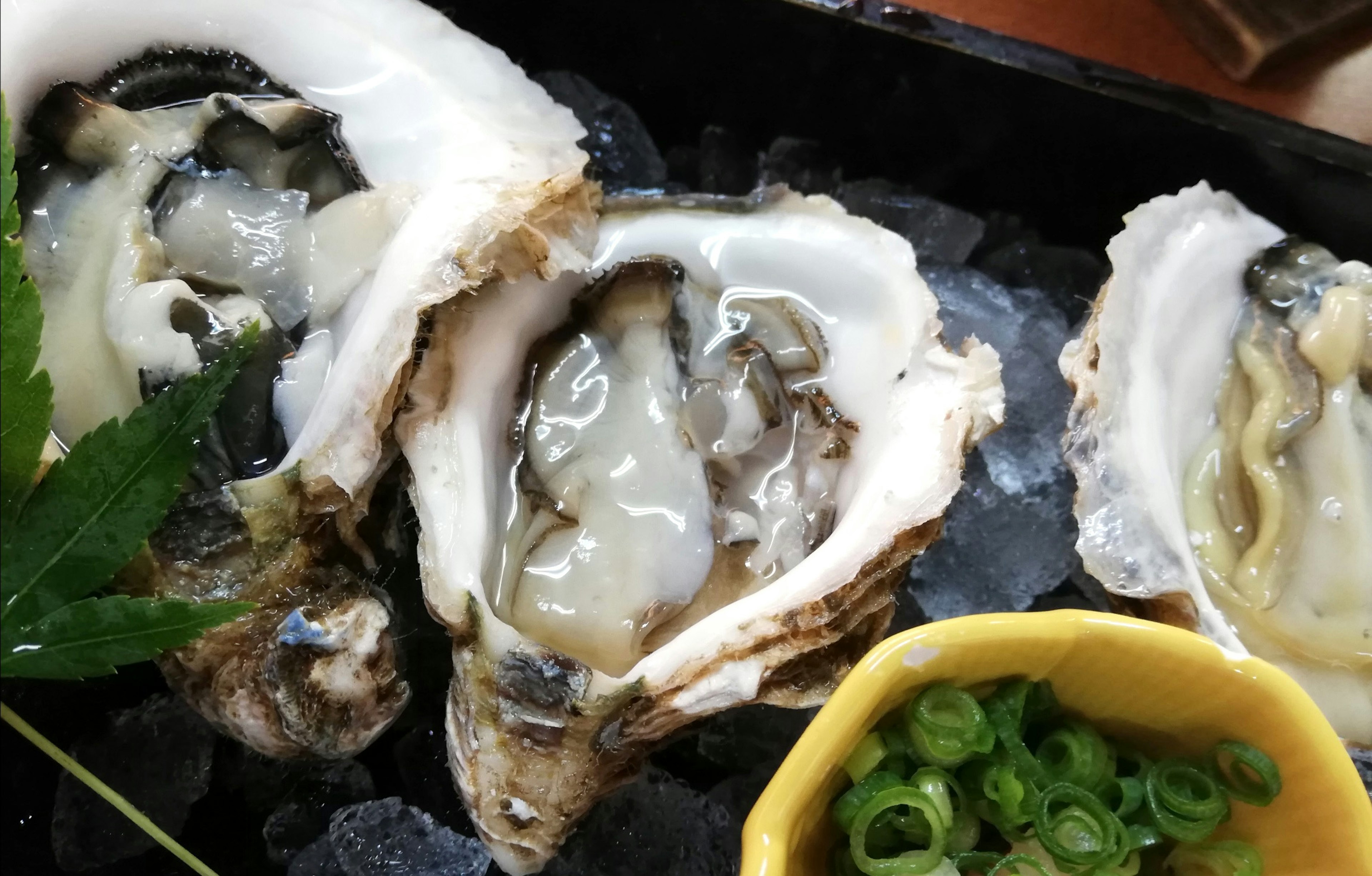 Ostras frescas servidas sobre hielo con cebollitas verdes y un gajo de limón