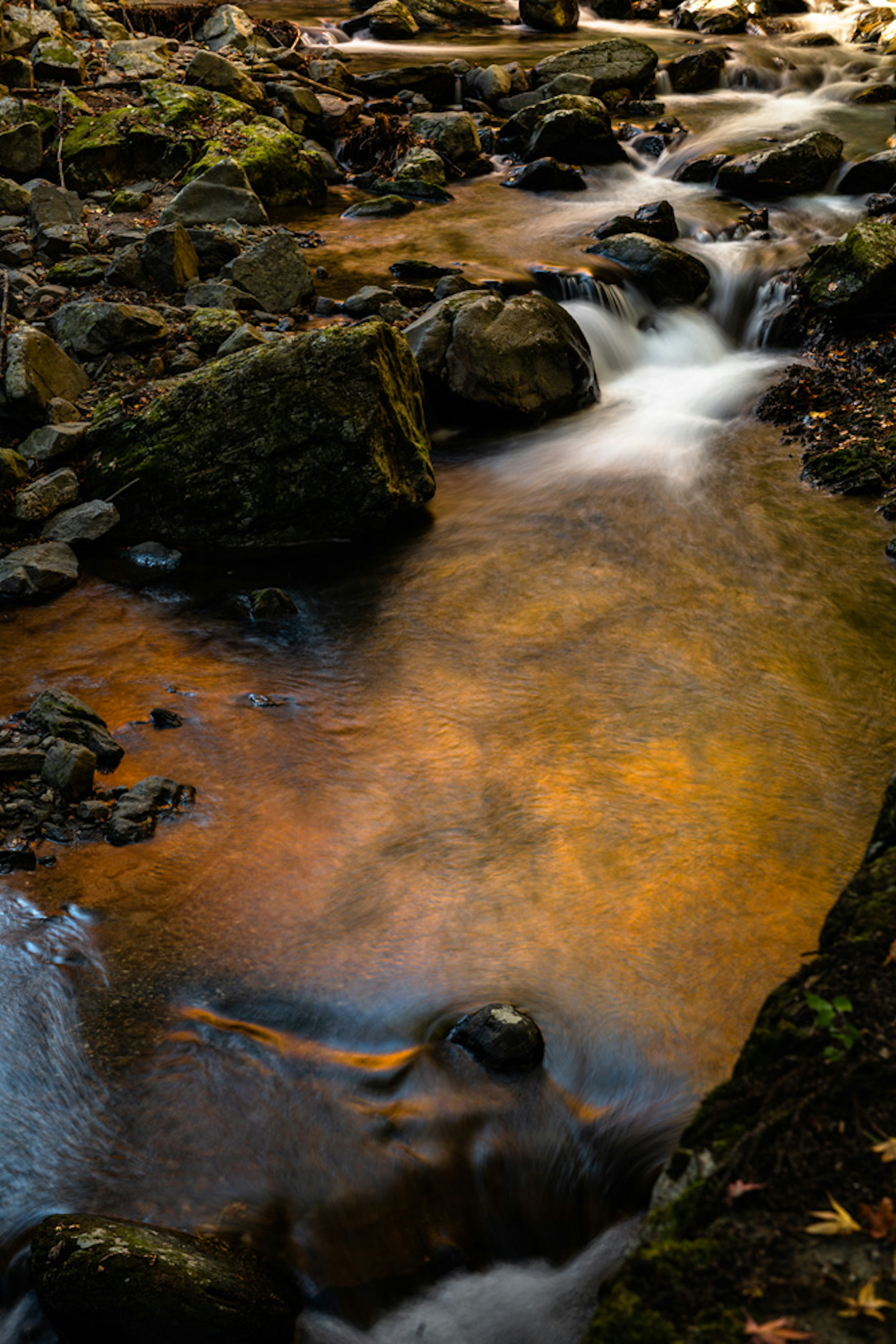 Un ruisseau s'écoulant sur des rochers avec des reflets orange