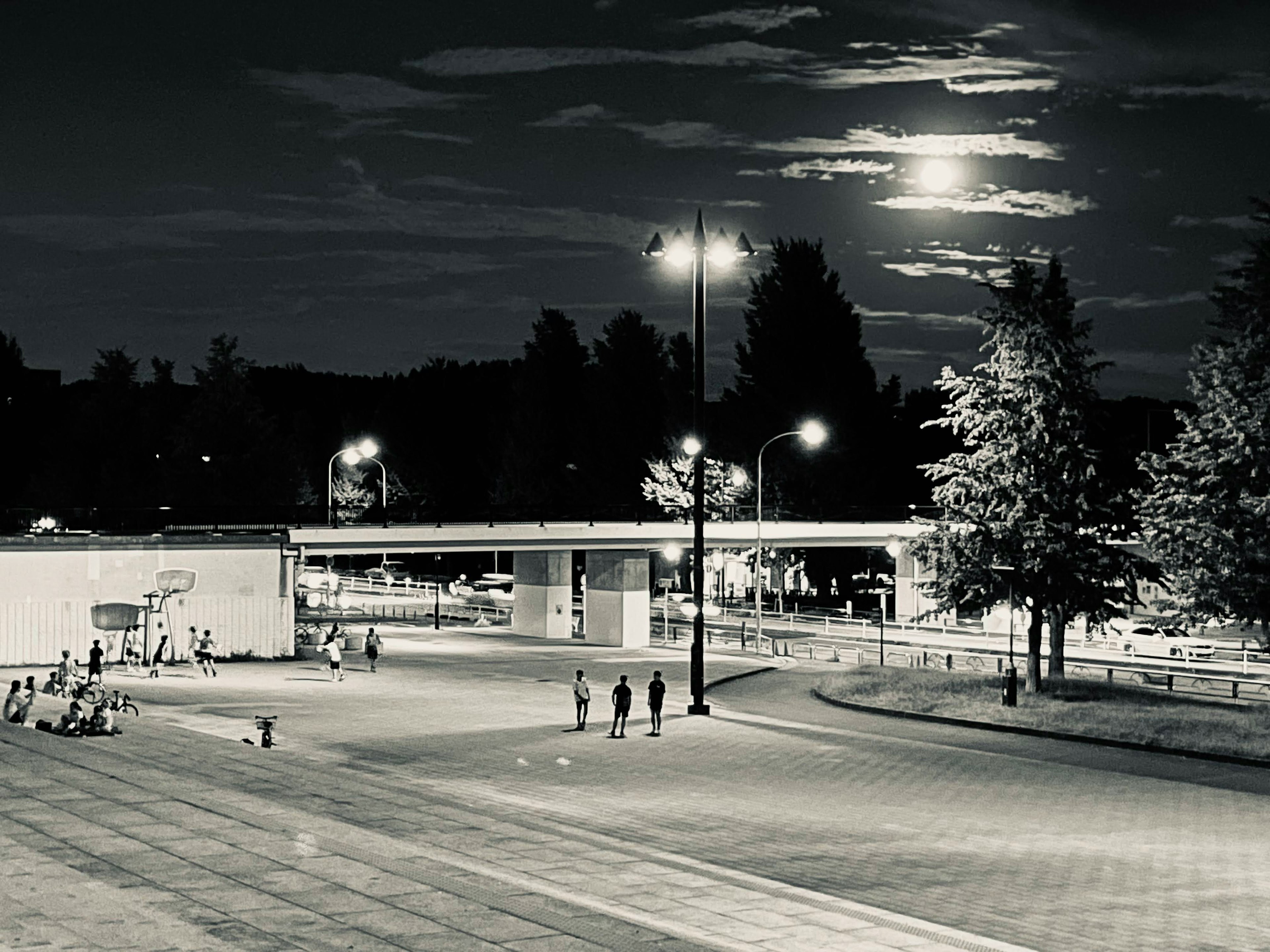 夜の公園に人々が集まり月明かりが照らす風景