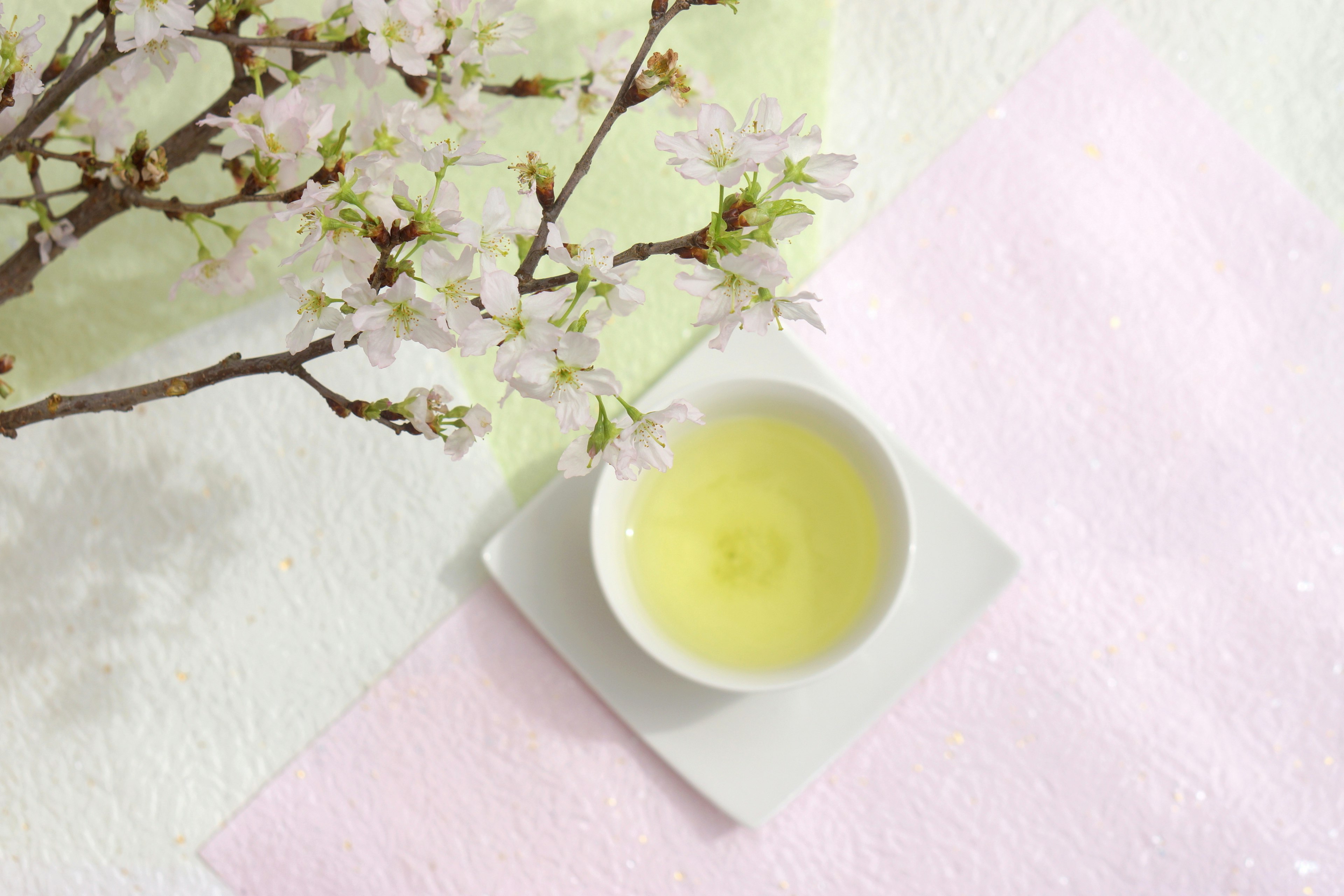 Thé vert dans un plat blanc sur un tissu pastel rose avec des branches de cerisier