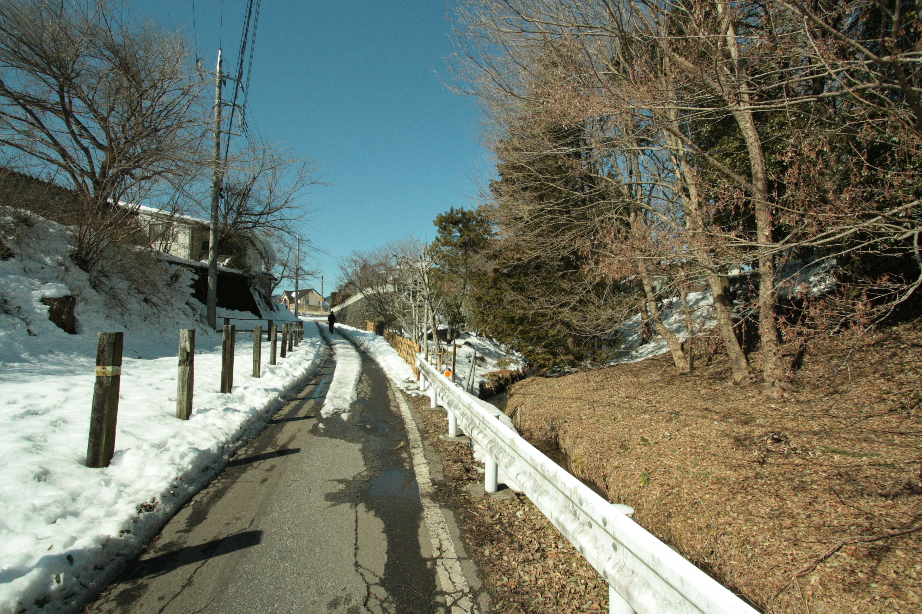 雪の残る道と木々の景色