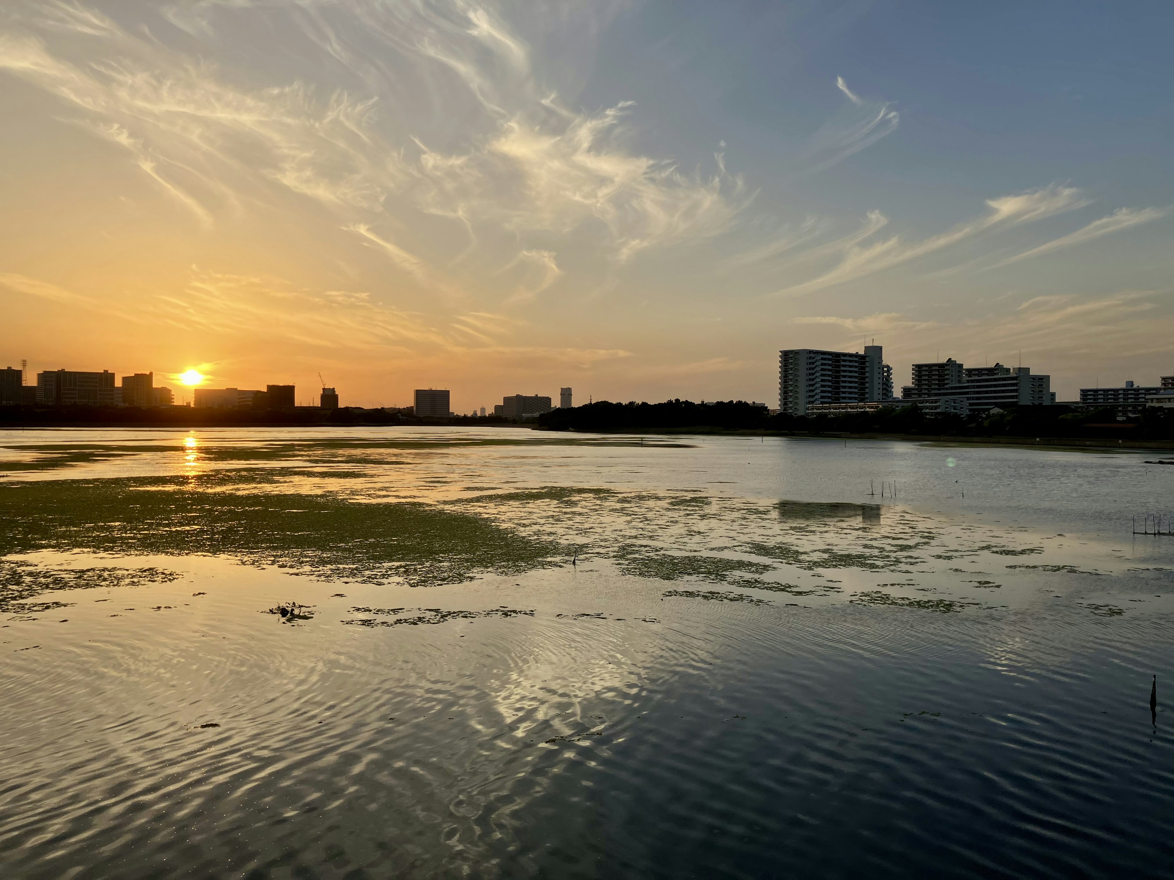 夕日が沈む湖の風景と静かな水面