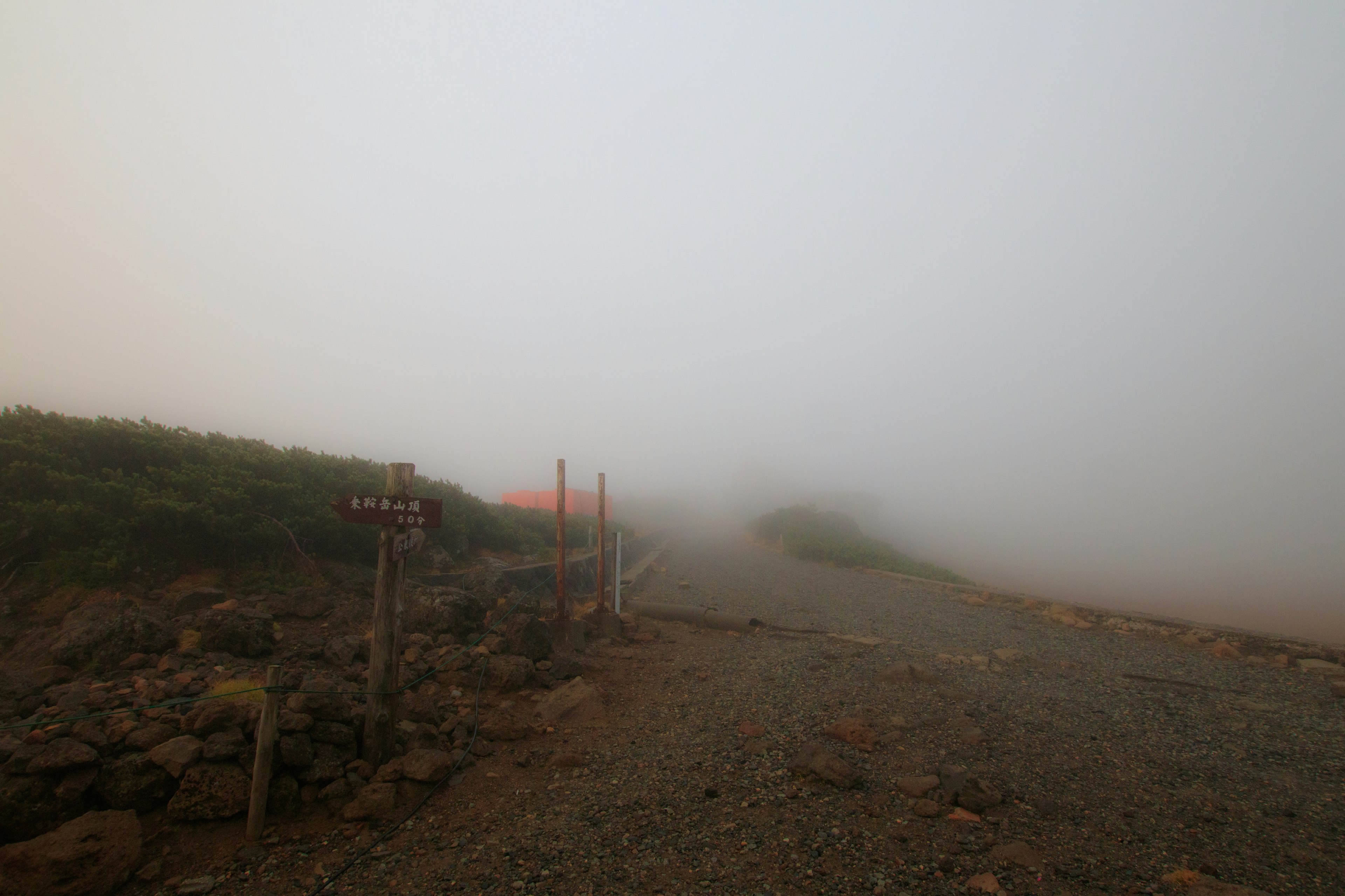 Sentiero nebbioso con strada di ghiaia e segnali in legno