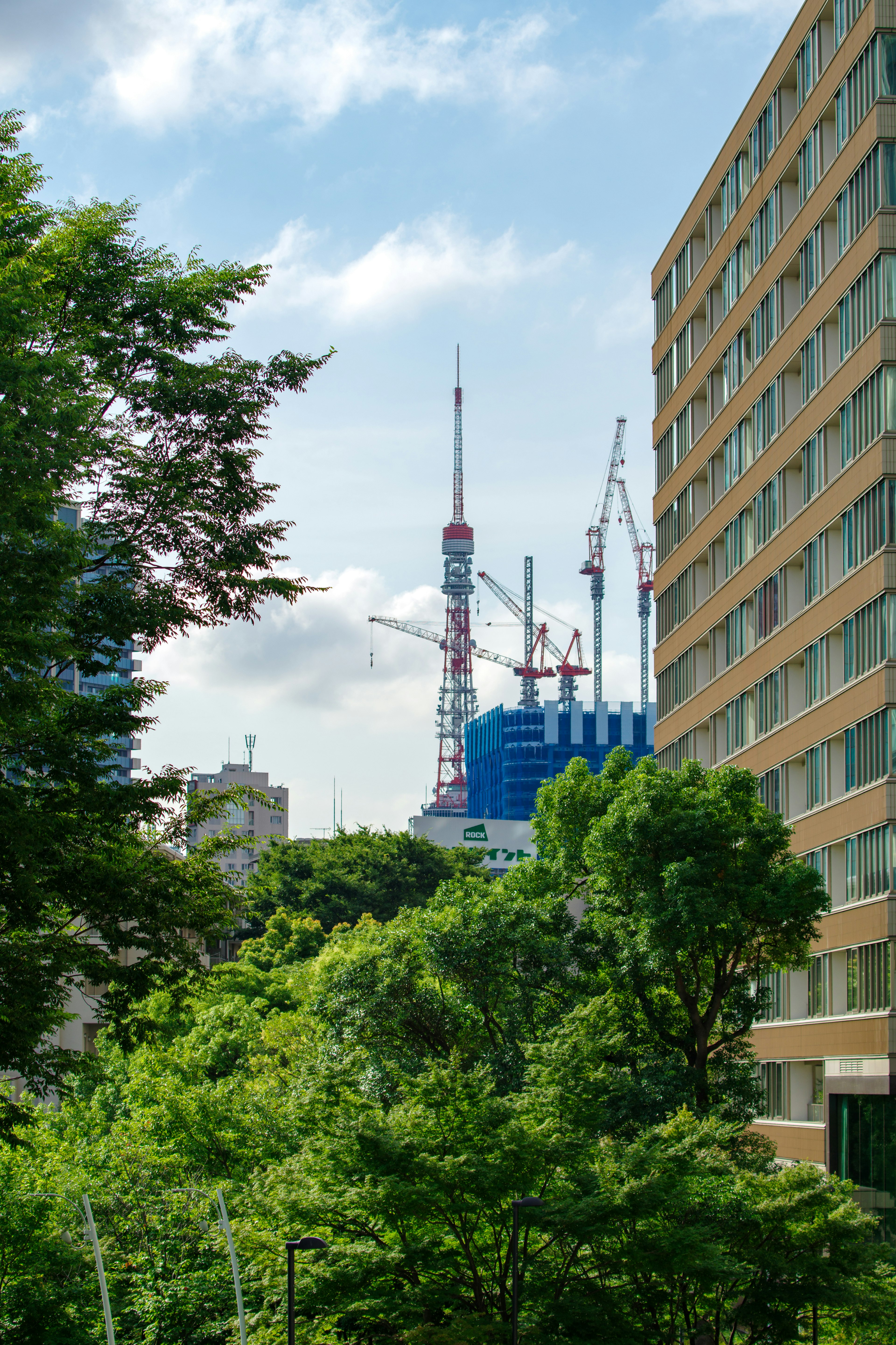 Một cái nhìn về Tháp Tokyo giữa những cây xanh tươi tốt và các tòa nhà hiện đại