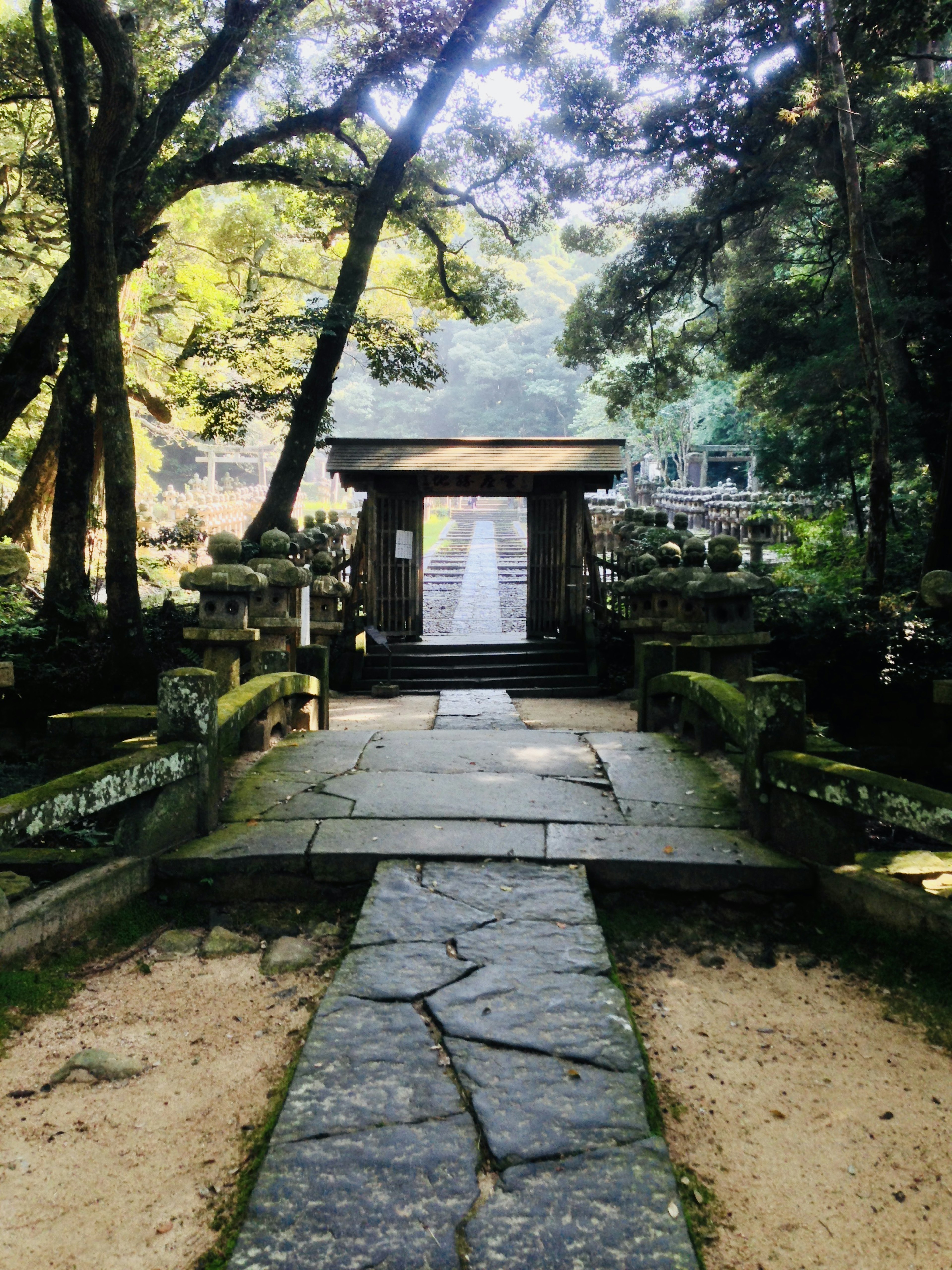 Scenic garden pathway with stone tiles leading to a wooden bridge