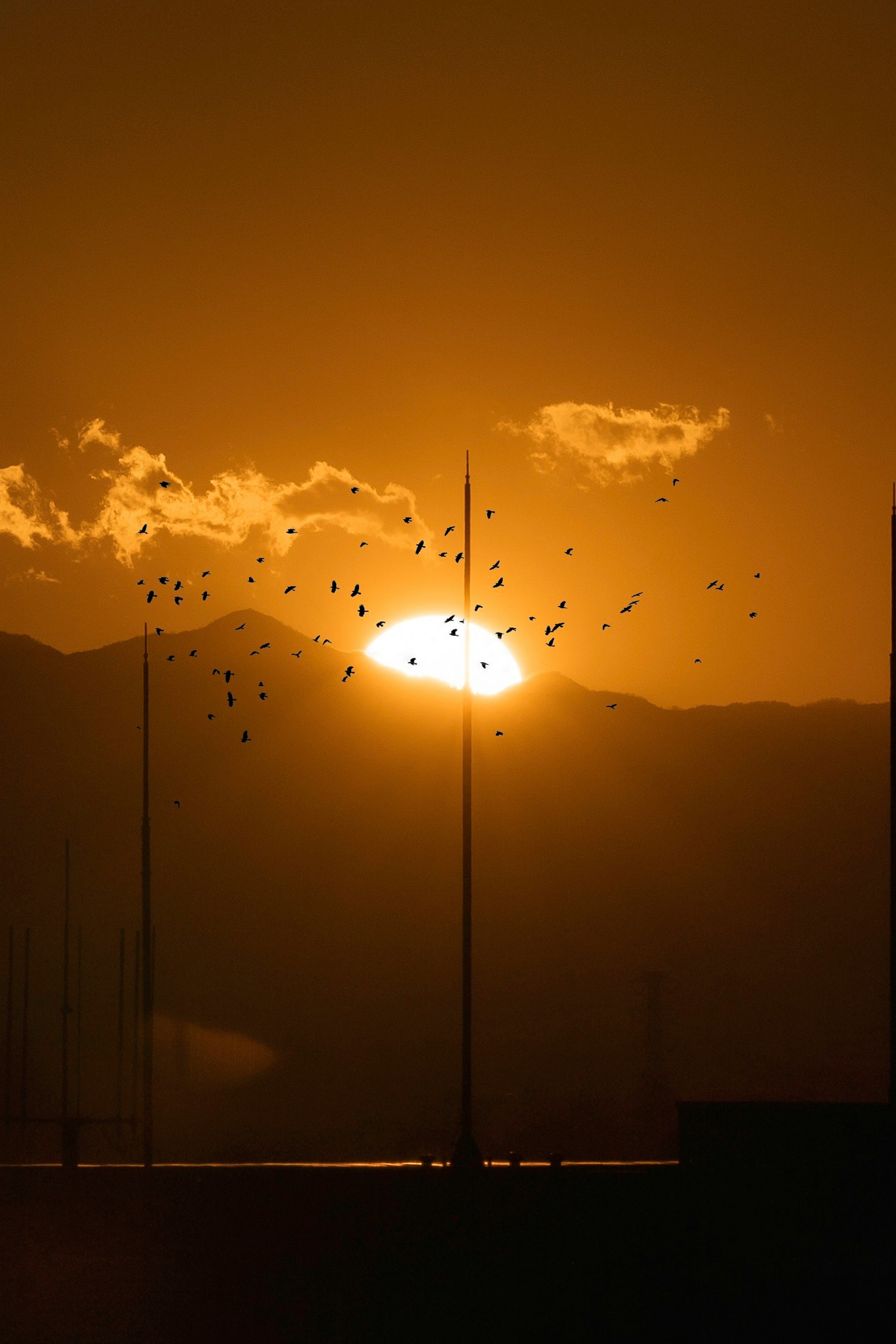 Magnifique coucher de soleil entre les montagnes avec des oiseaux volant