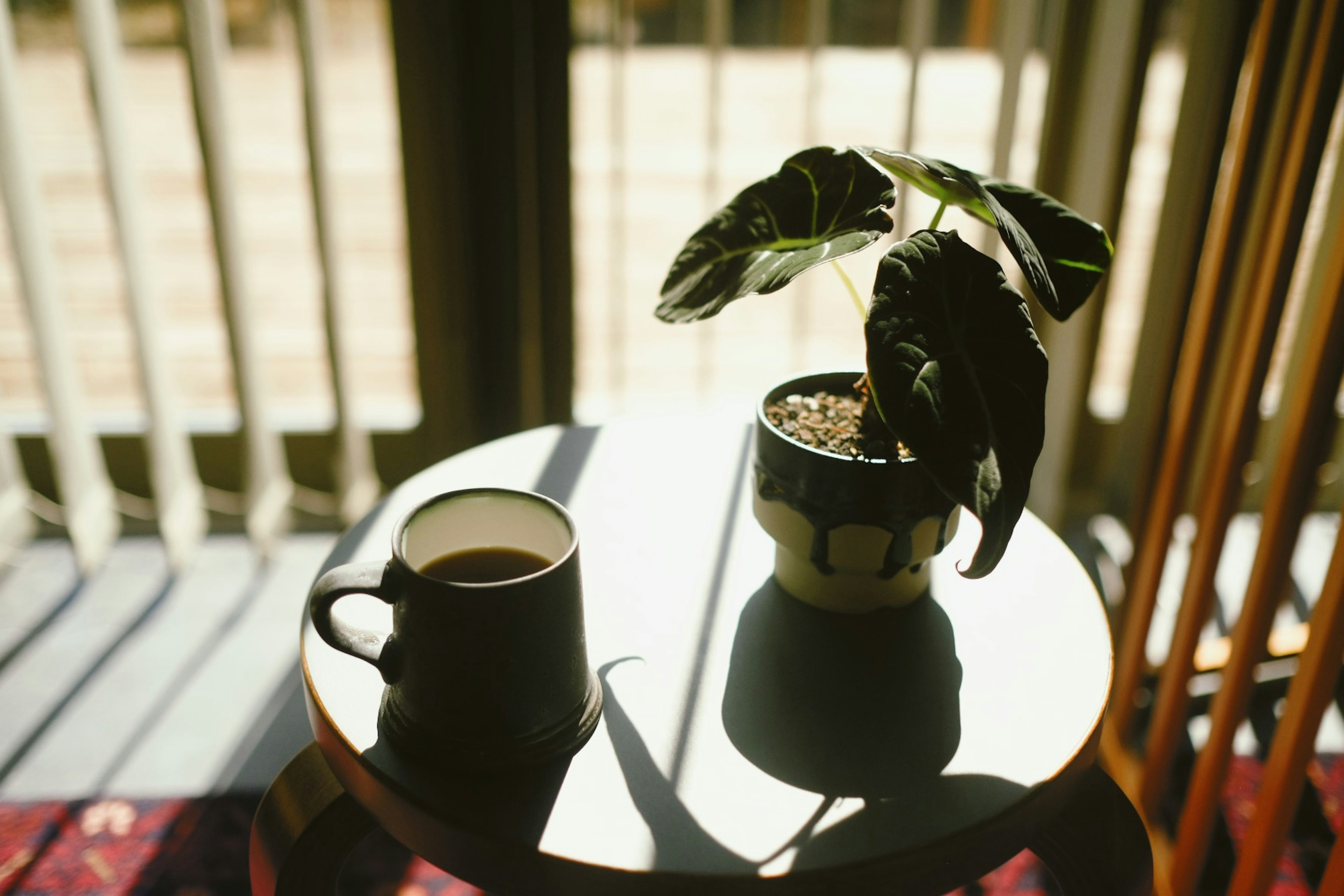 Scene of a coffee cup and a potted plant on a table