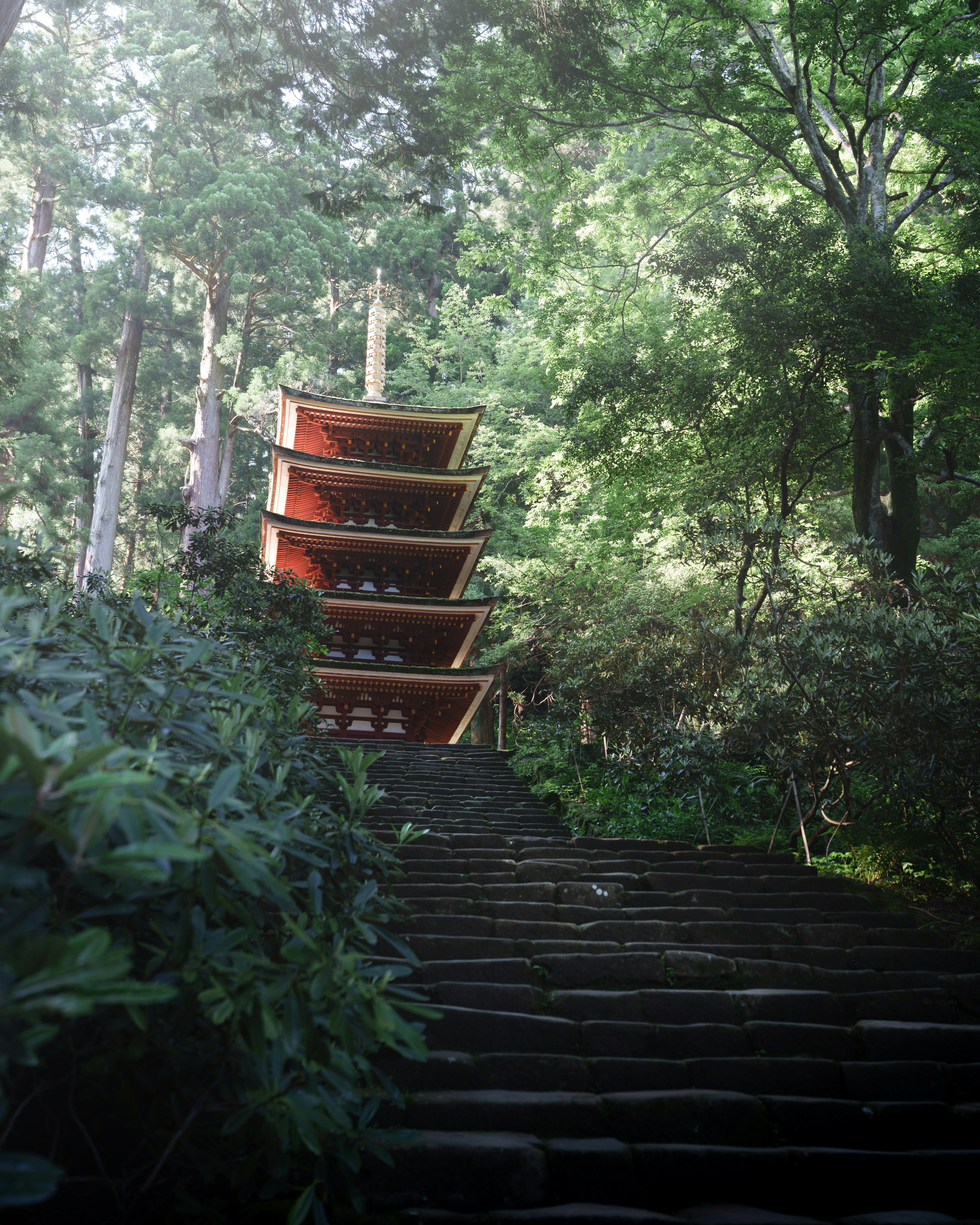 Five-story pagoda surrounded by greenery with stone steps