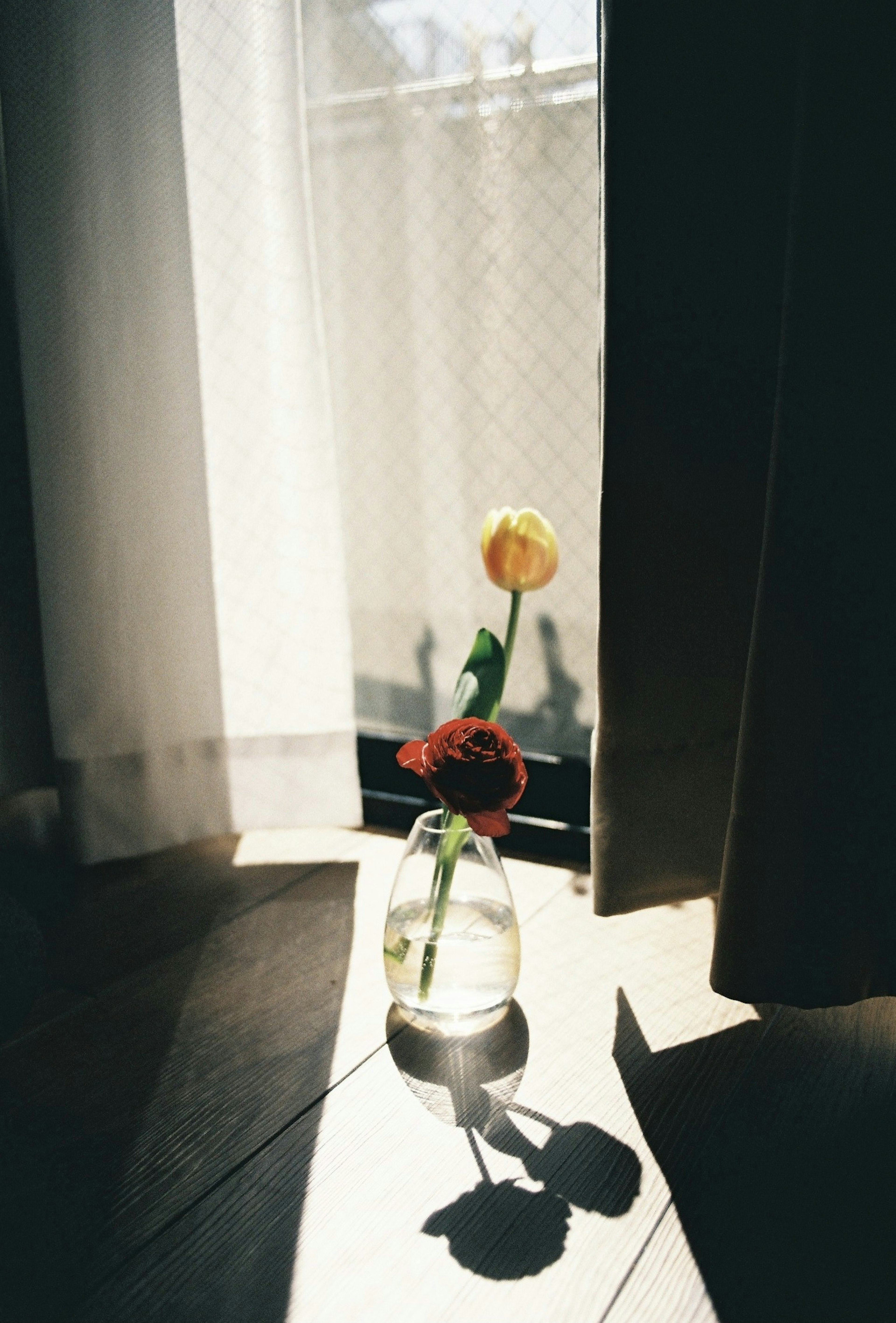 Eine helle Fensterszene mit einer Vase, die eine rote Blume und eine gelbe Blume enthält