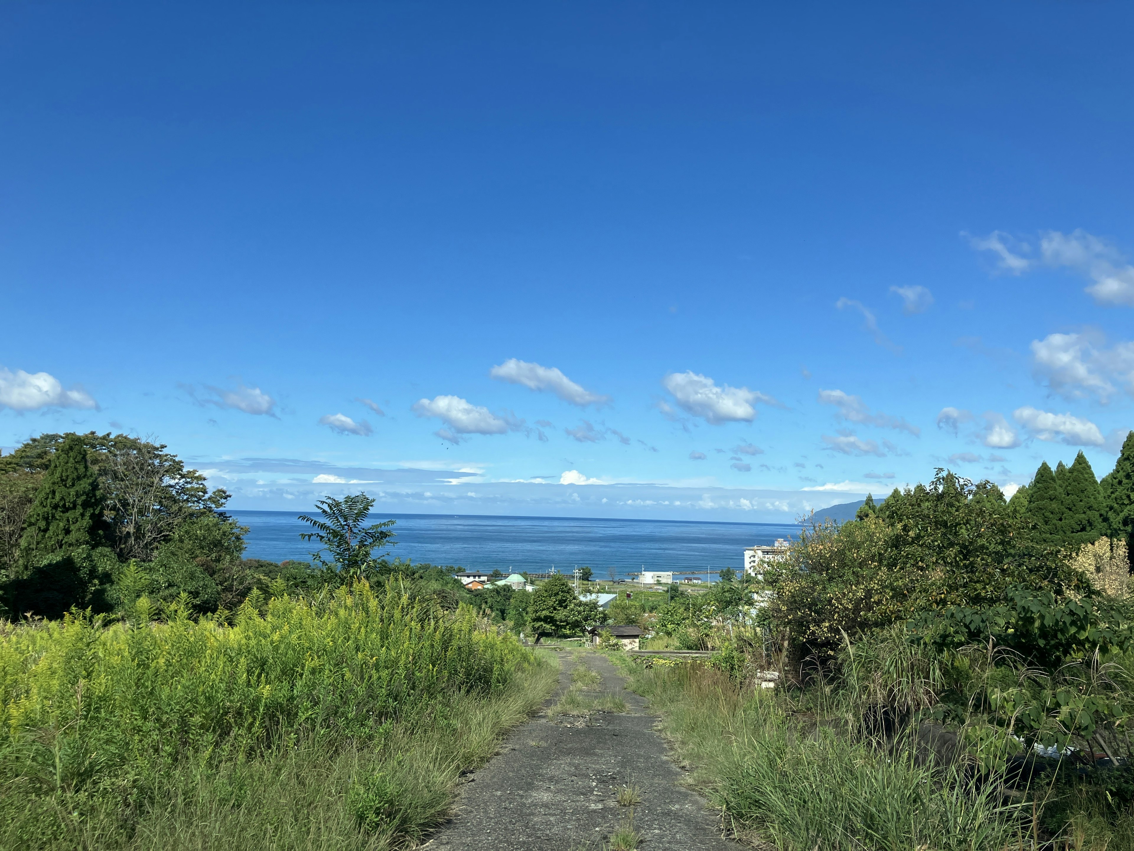 Scenic view with blue sky and ocean visible path leading to houses