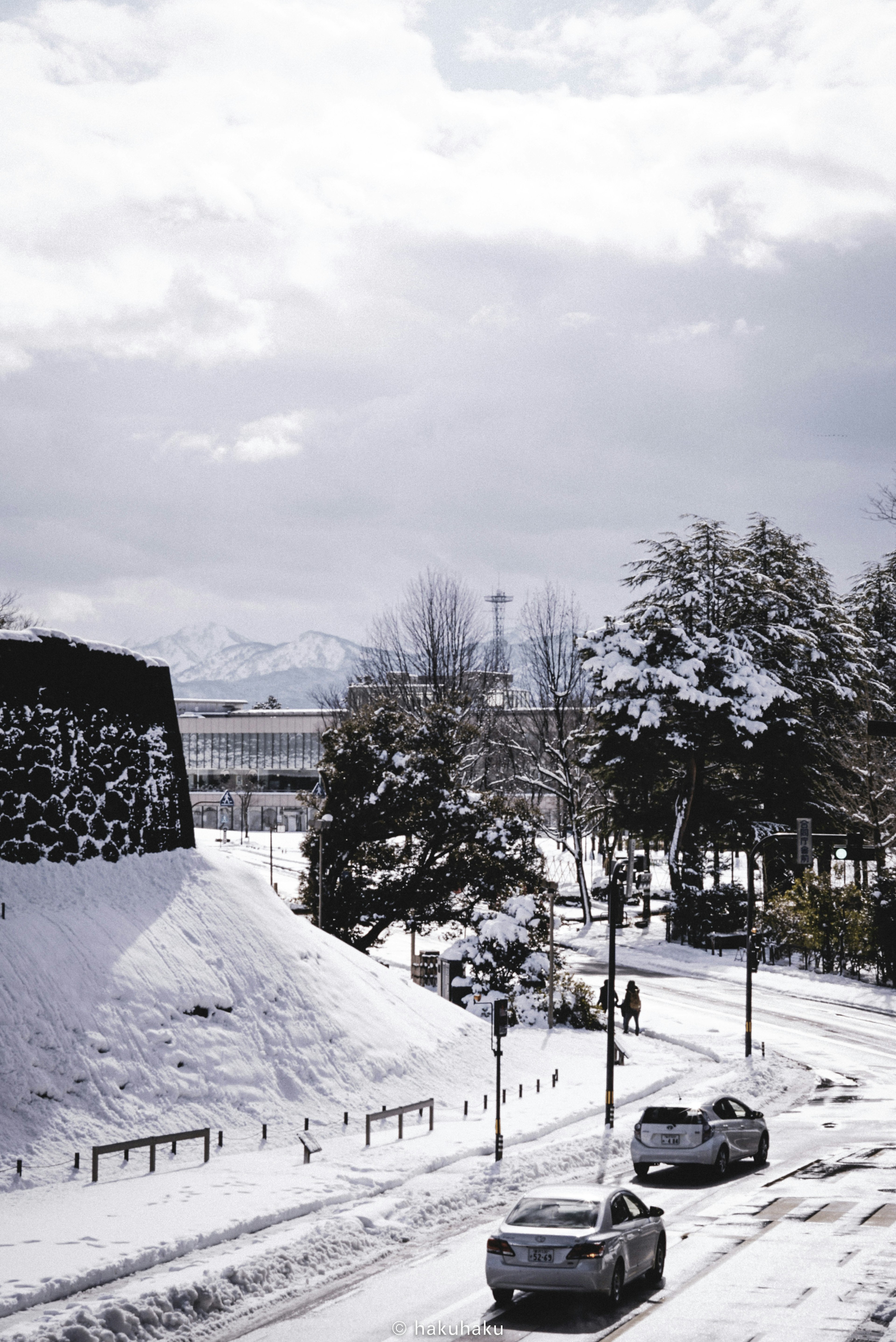 Camino cubierto de nieve con un antiguo muro de piedra y árboles invernales