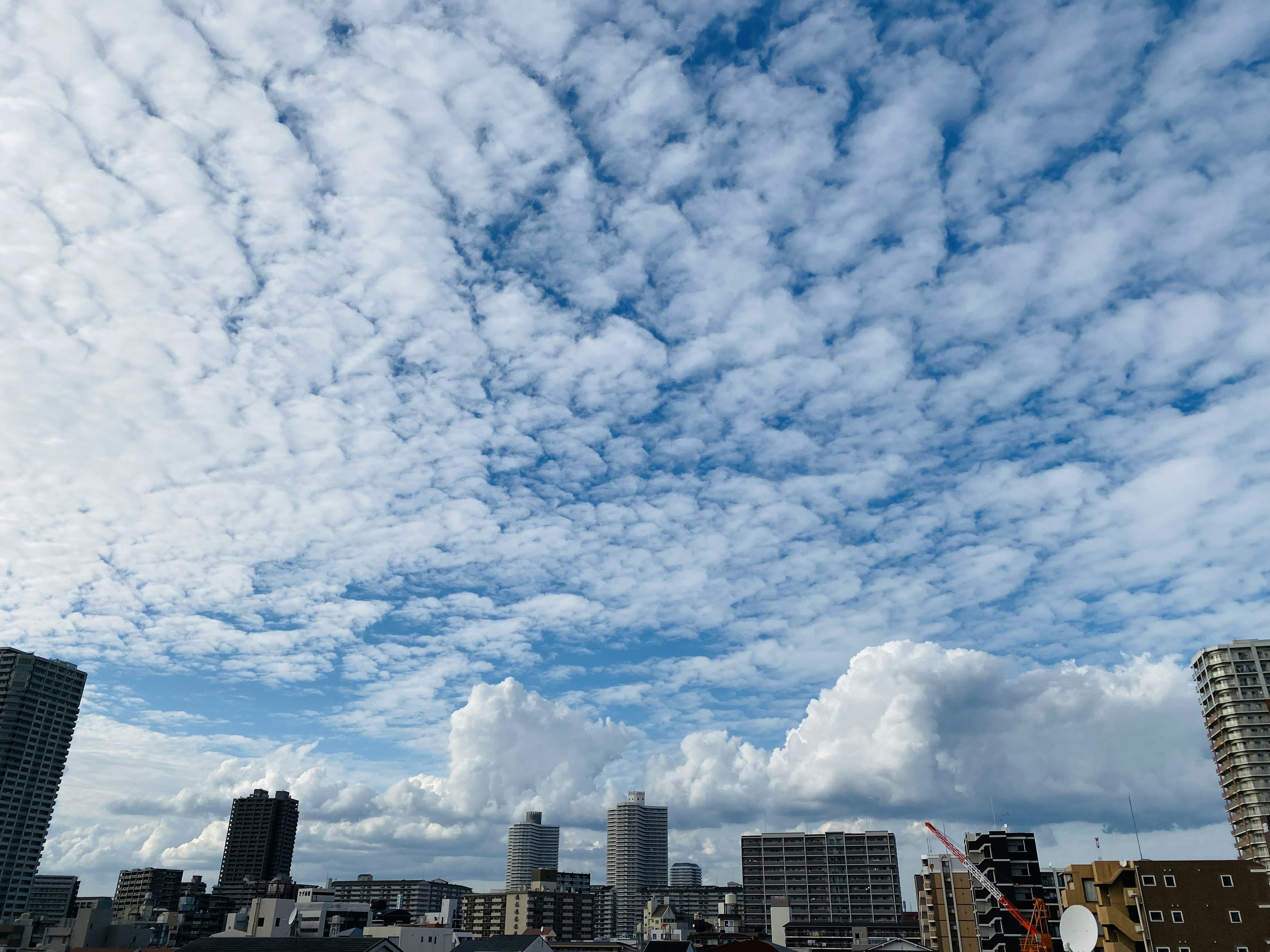 Langit biru dengan awan putih berbulu di atas cakrawala kota