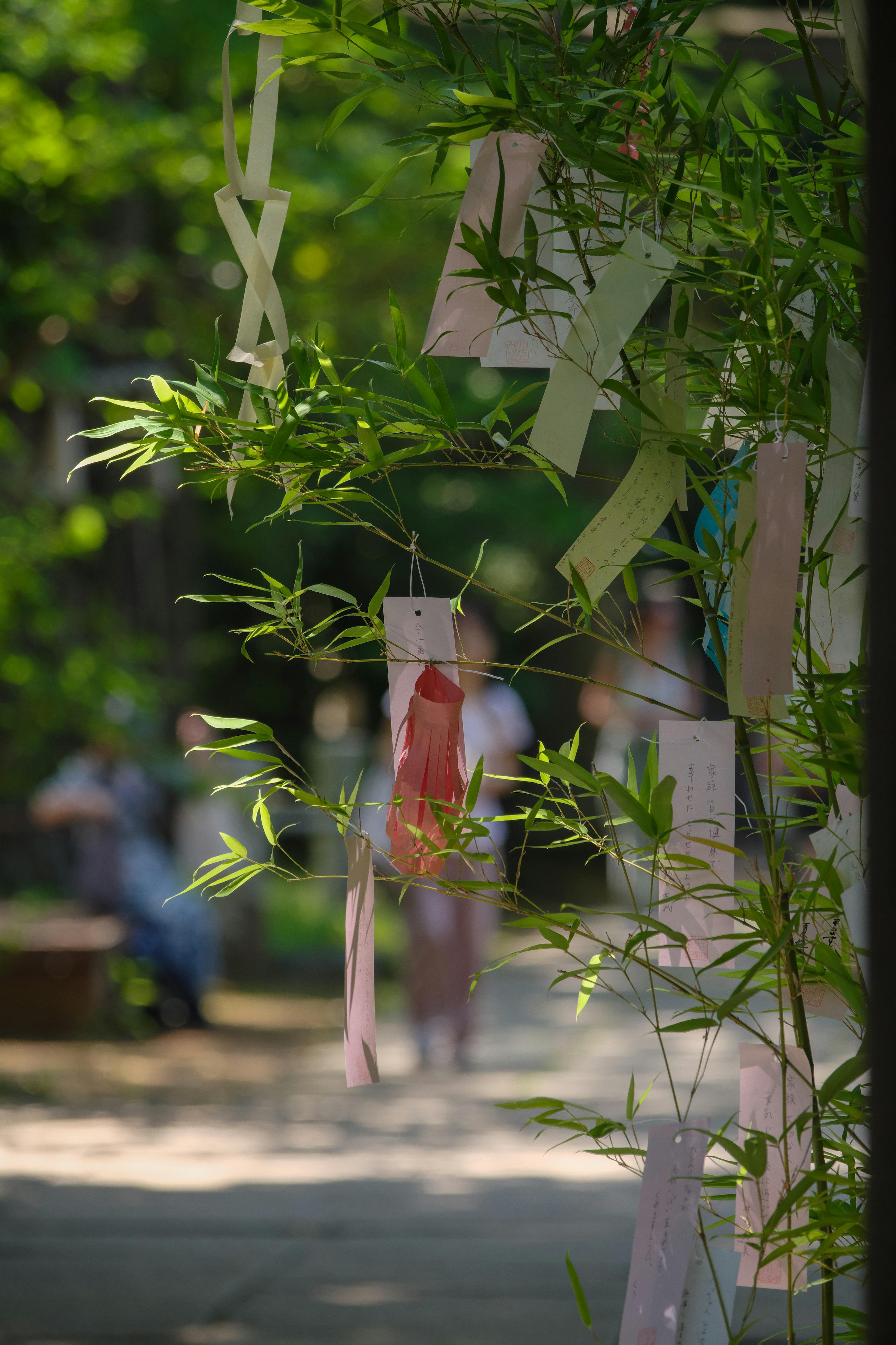 Colorful strips of paper hanging from bamboo branches in a serene setting