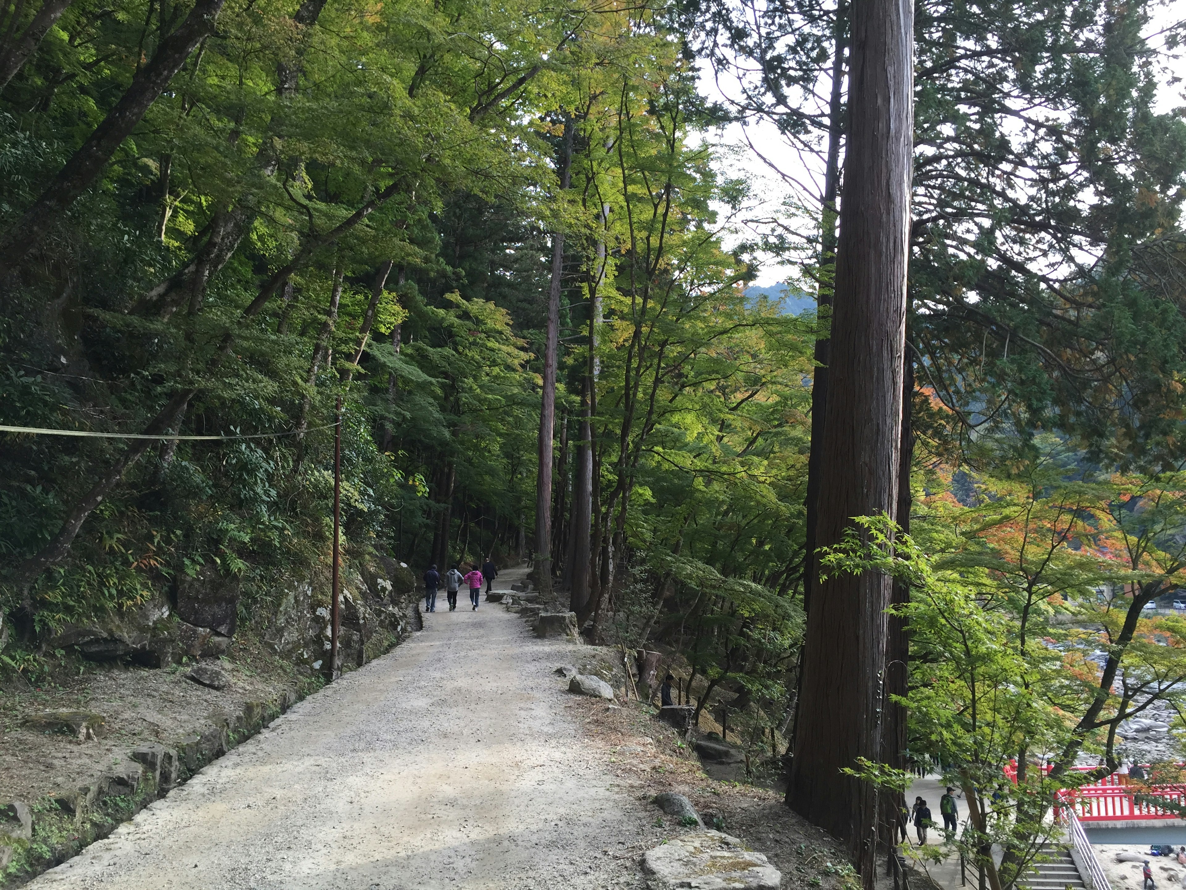 緑豊かな木々に囲まれた舗装された小道と人々