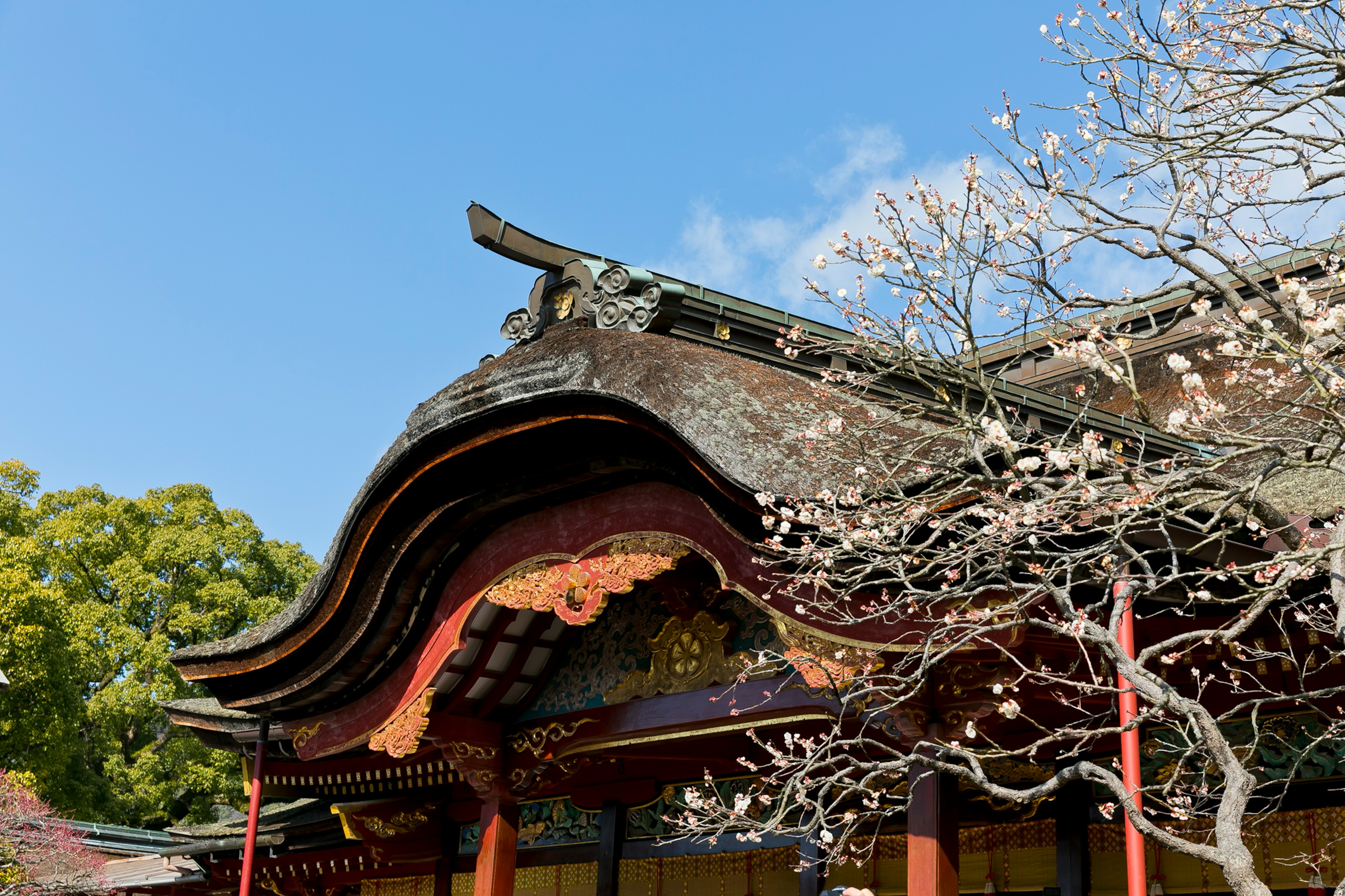 Toit d'un bâtiment japonais traditionnel avec un design décoratif et un ciel bleu