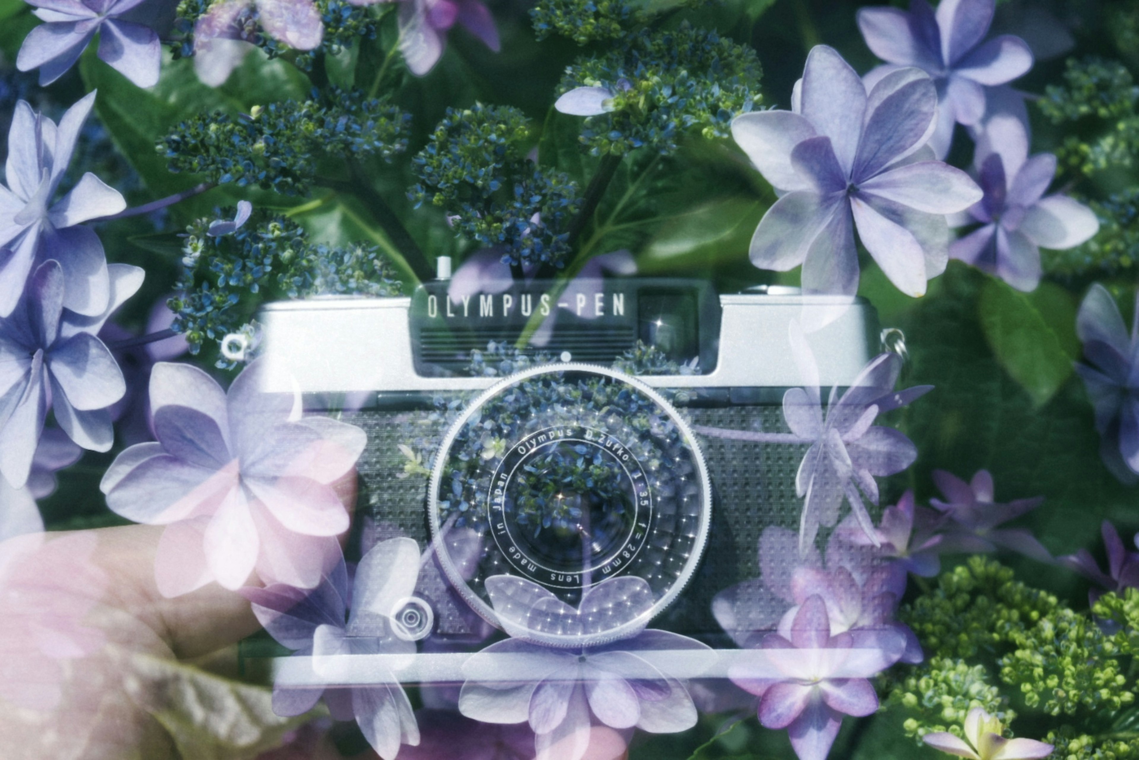 A camera surrounded by purple flowers