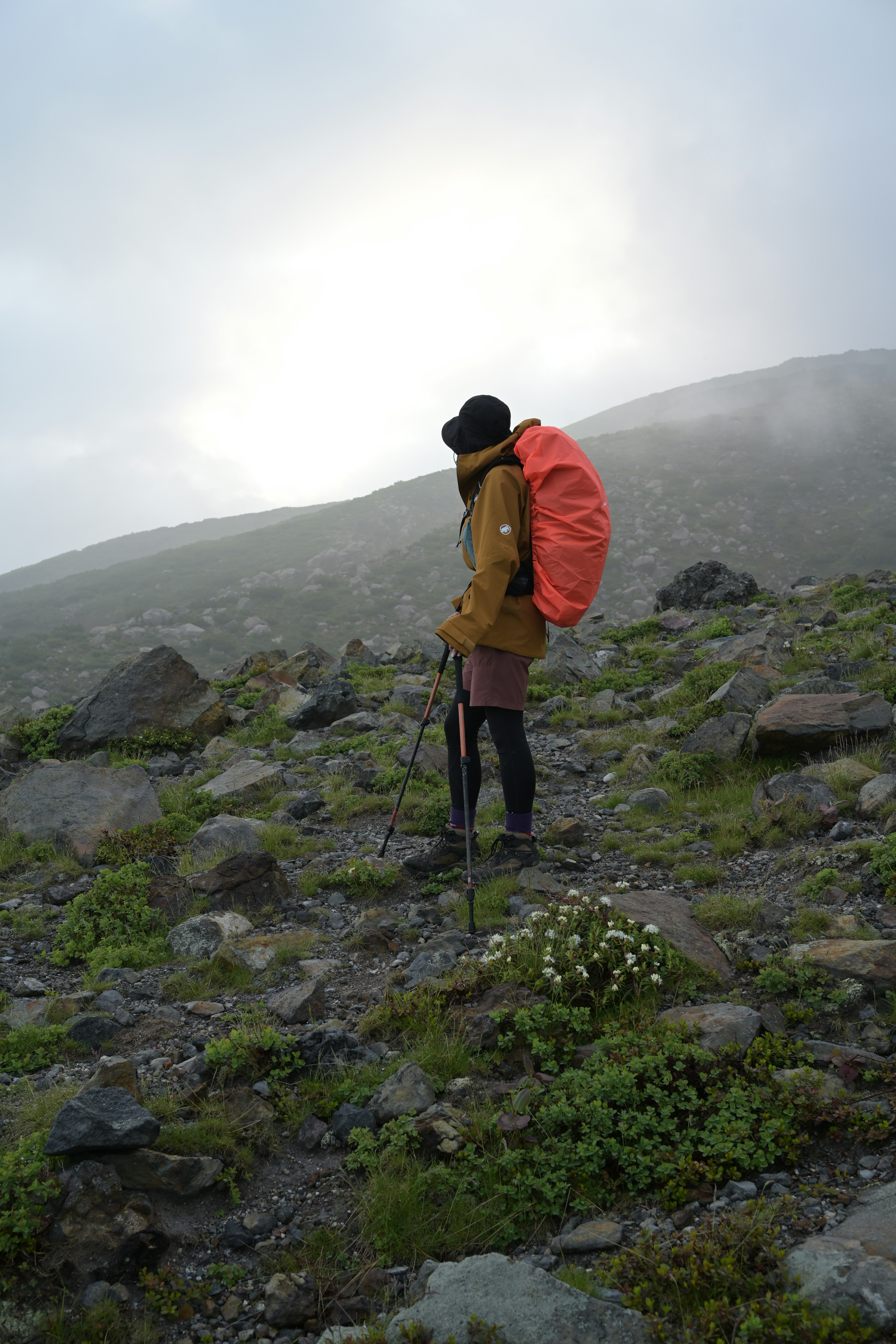 霧に包まれた山道を歩く登山者のシルエット 明るい光の中でオレンジのバックパックを背負っている