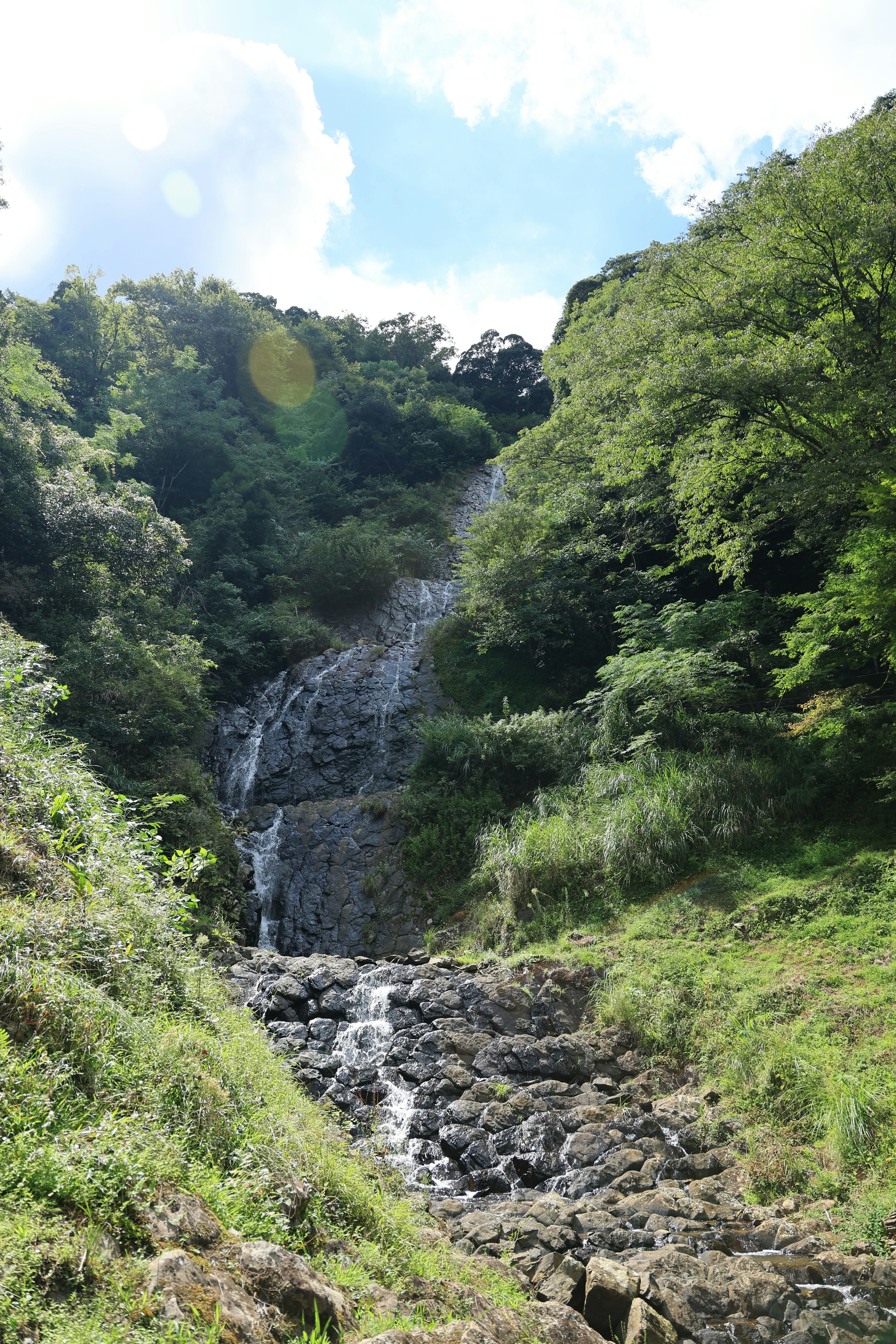 瀑布从岩石山坡上倾泻而下，周围环绕着郁郁葱葱的绿树