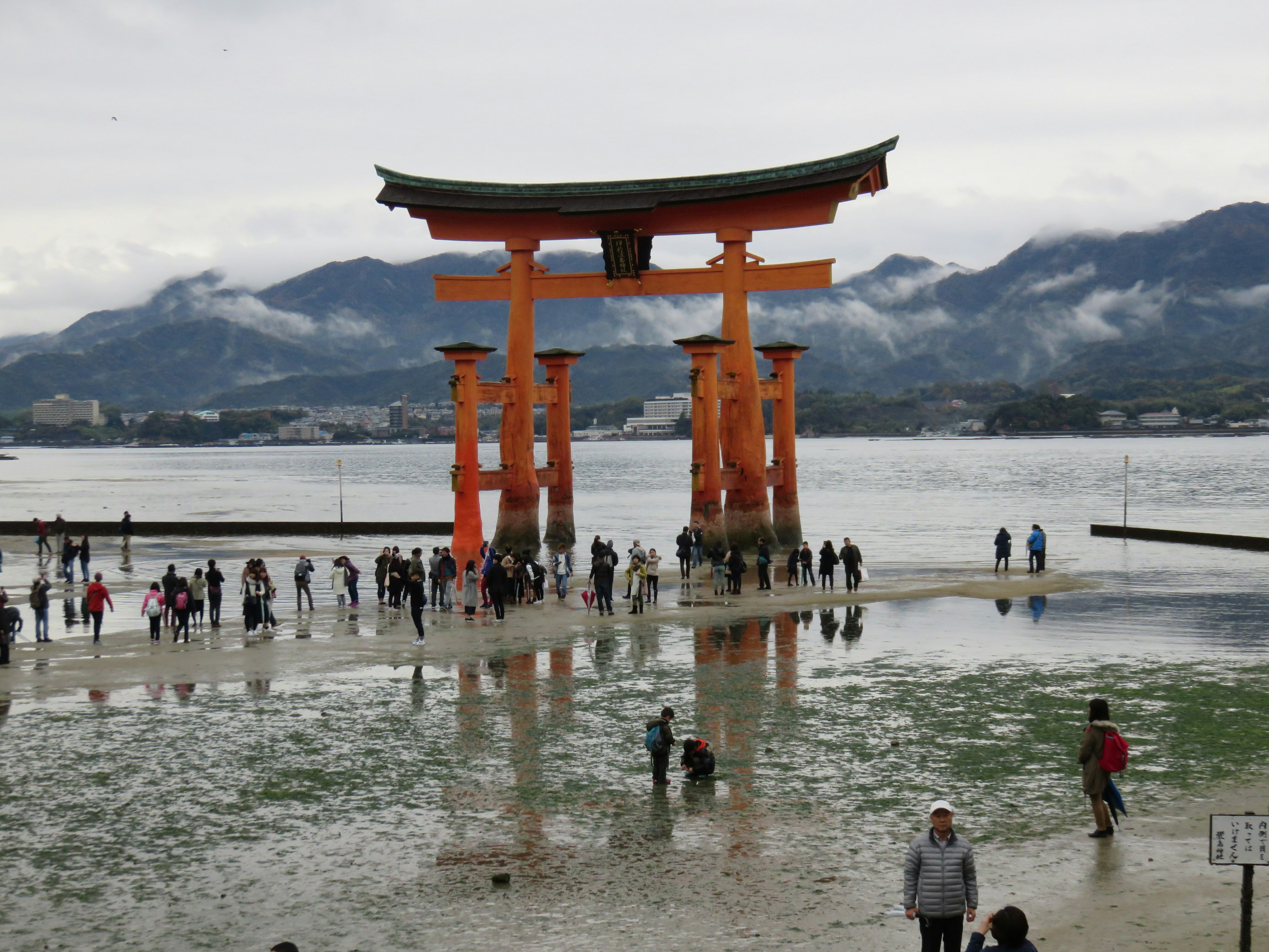 The iconic torii gate of Itsukushima Shrine with visitors on the tidal flats