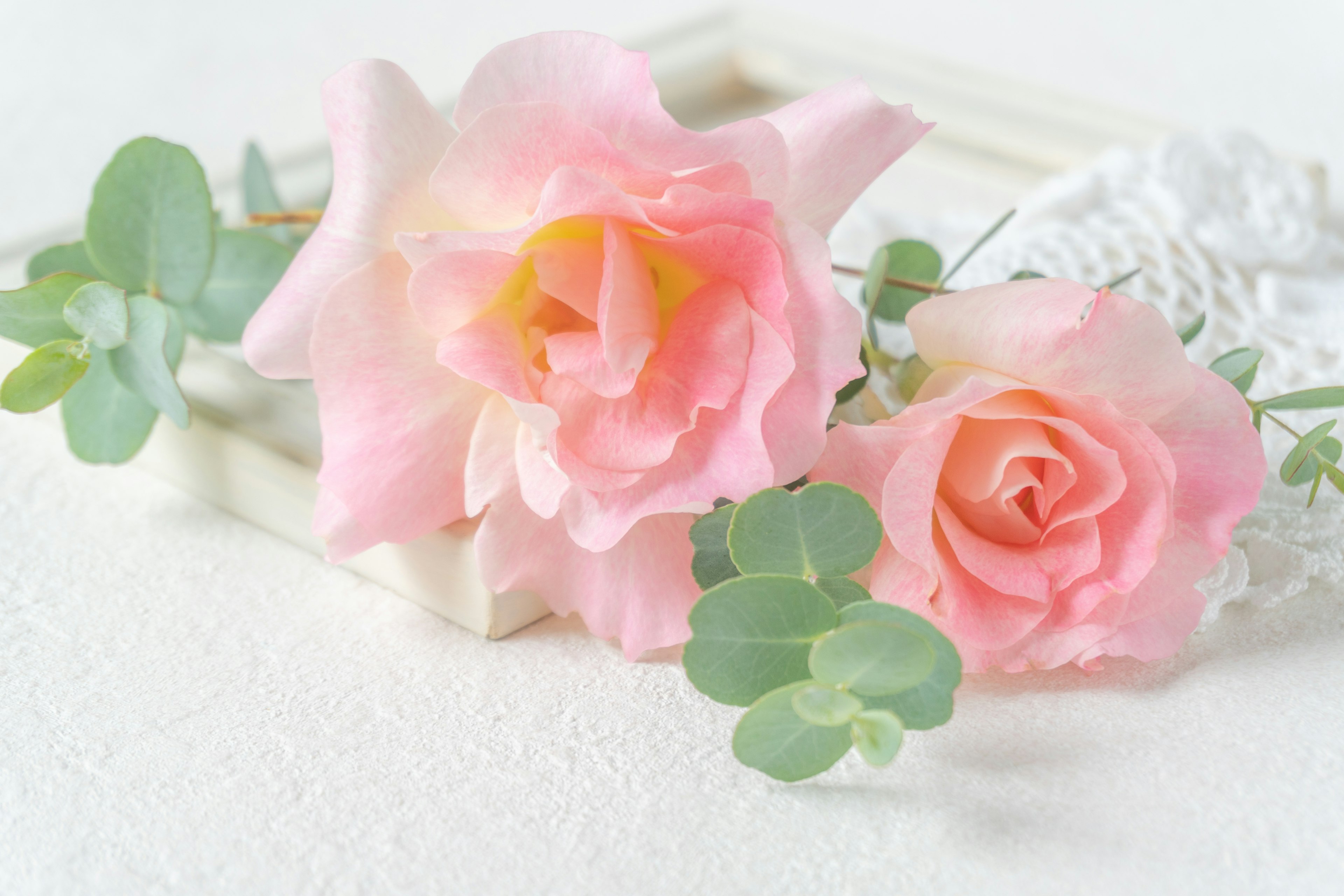 Beautiful arrangement of soft pink roses and eucalyptus leaves