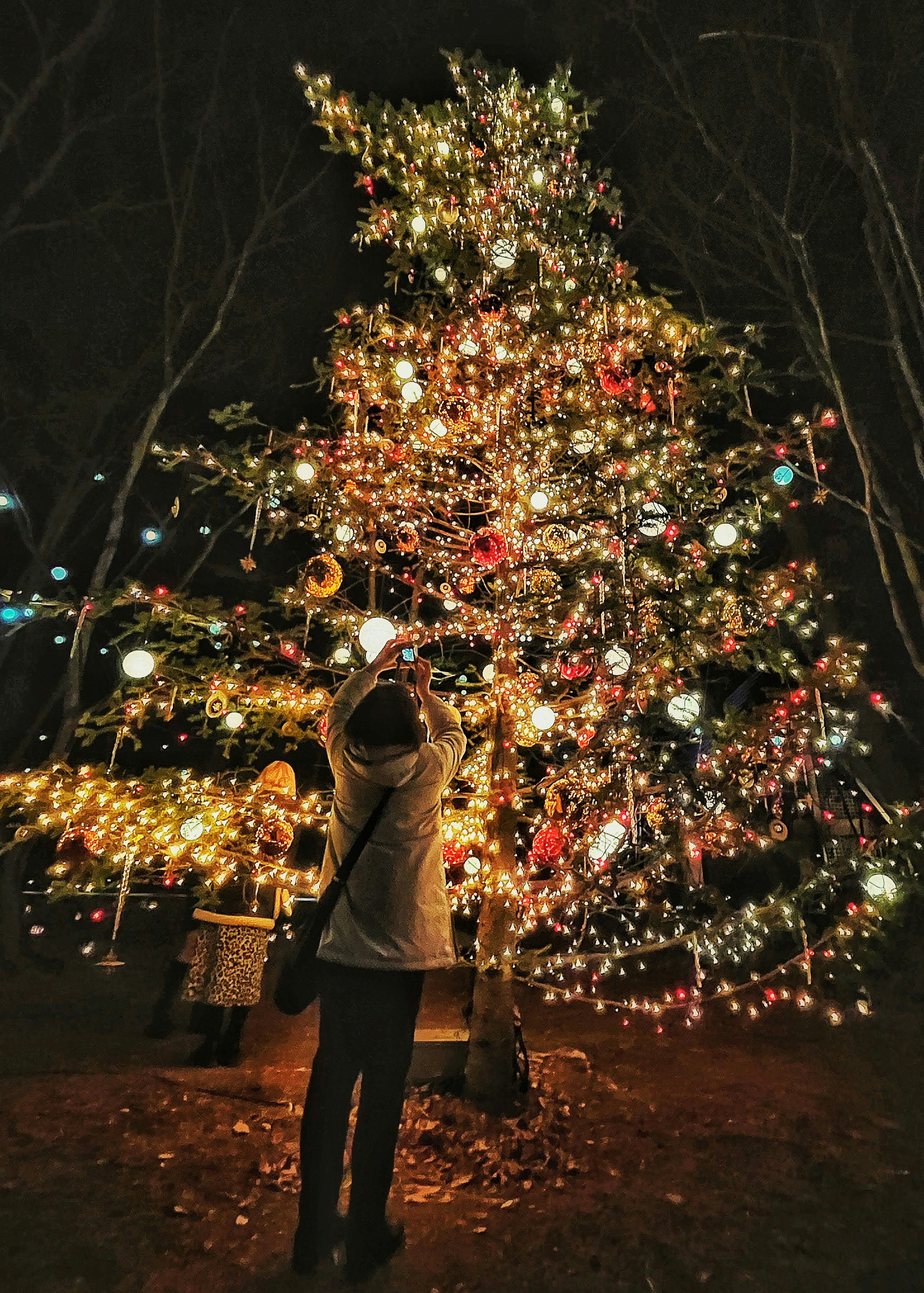 Person standing in front of a brightly lit Christmas tree at night