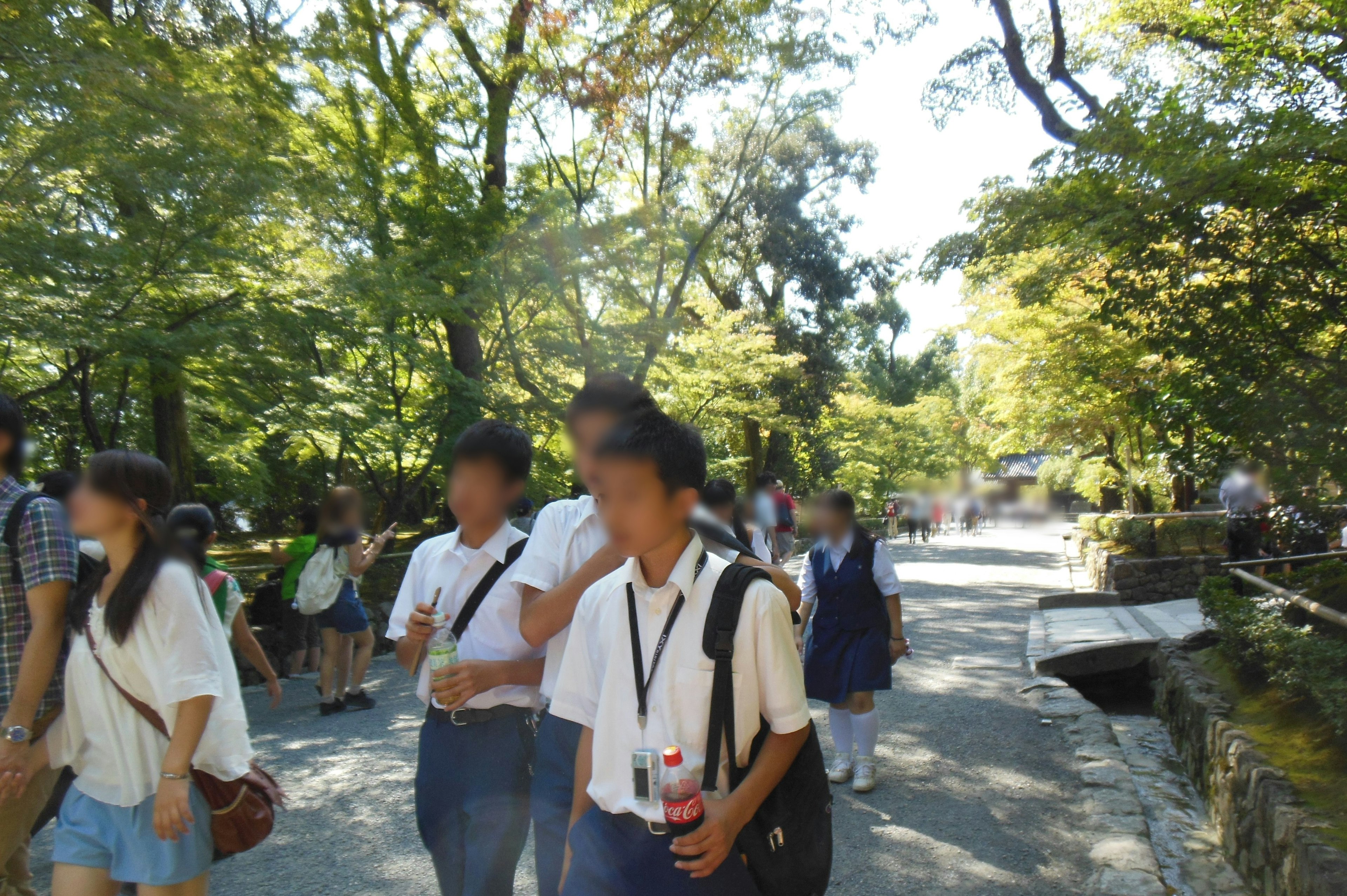 Gruppo di studenti che cammina in un parco alberi verdi luminosi e cielo sereno abbigliamento casual