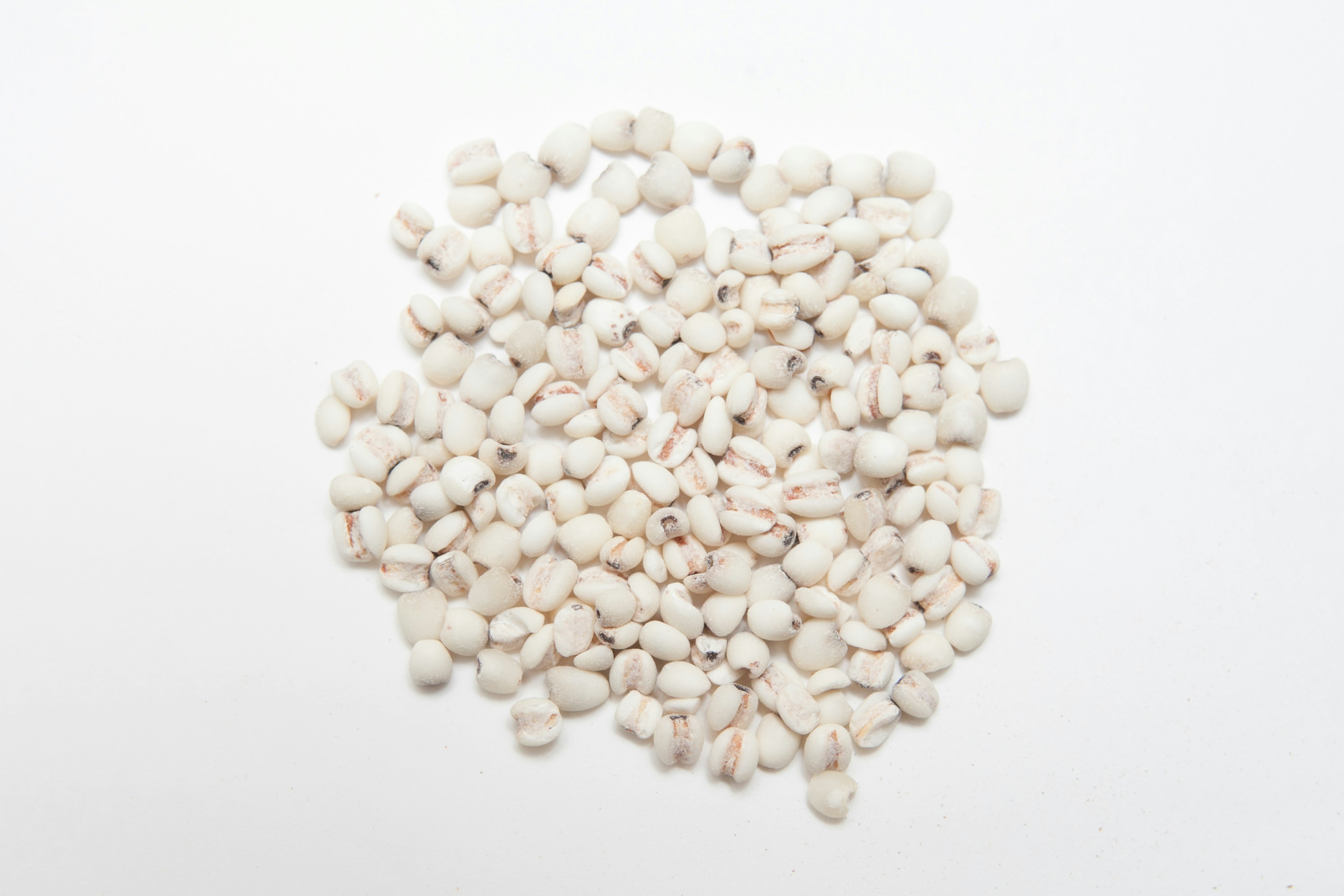 Un groupe de petites grains blancs sur un fond blanc