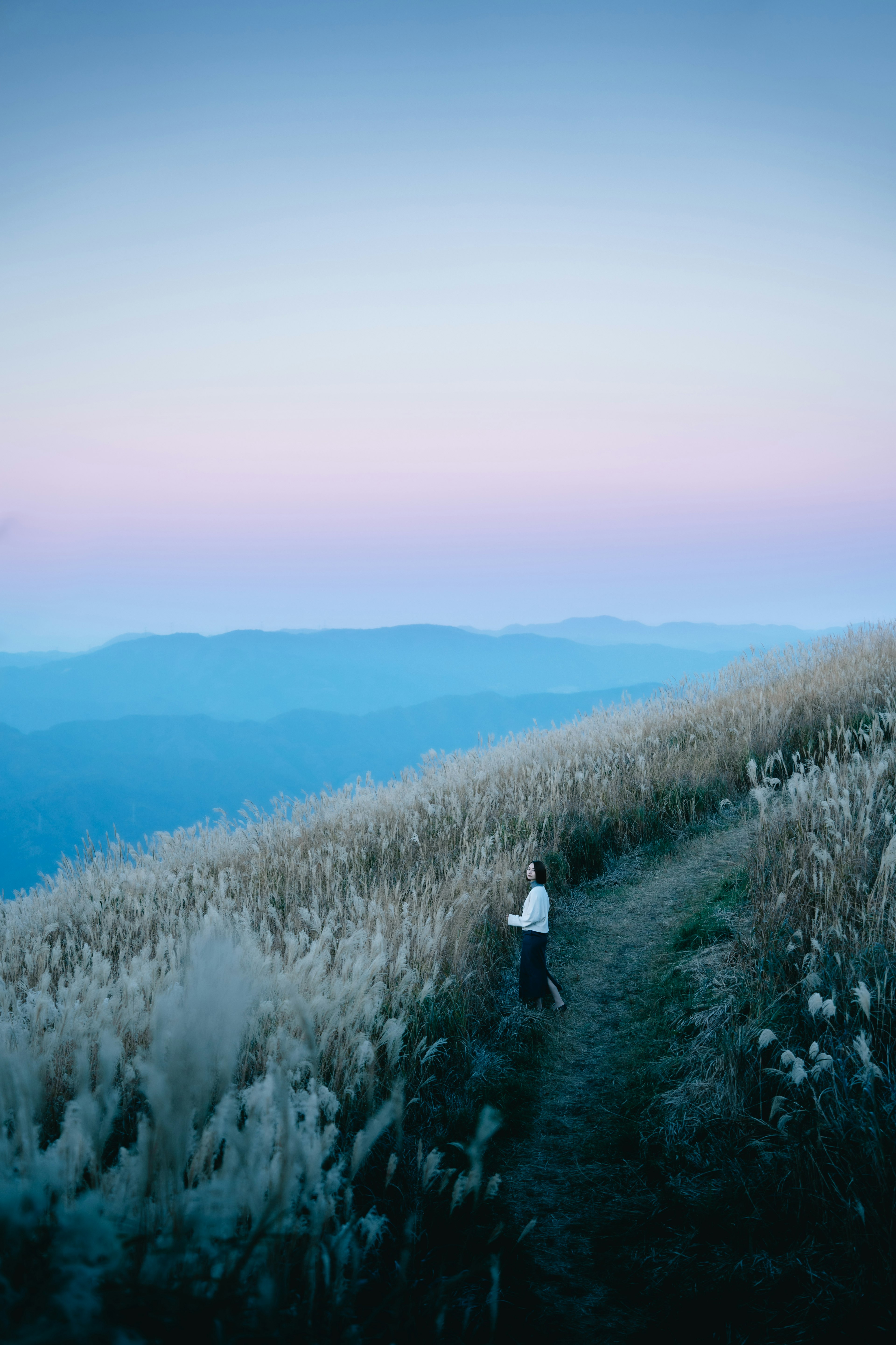 A person walking along a grassy path with a beautiful sunset sky