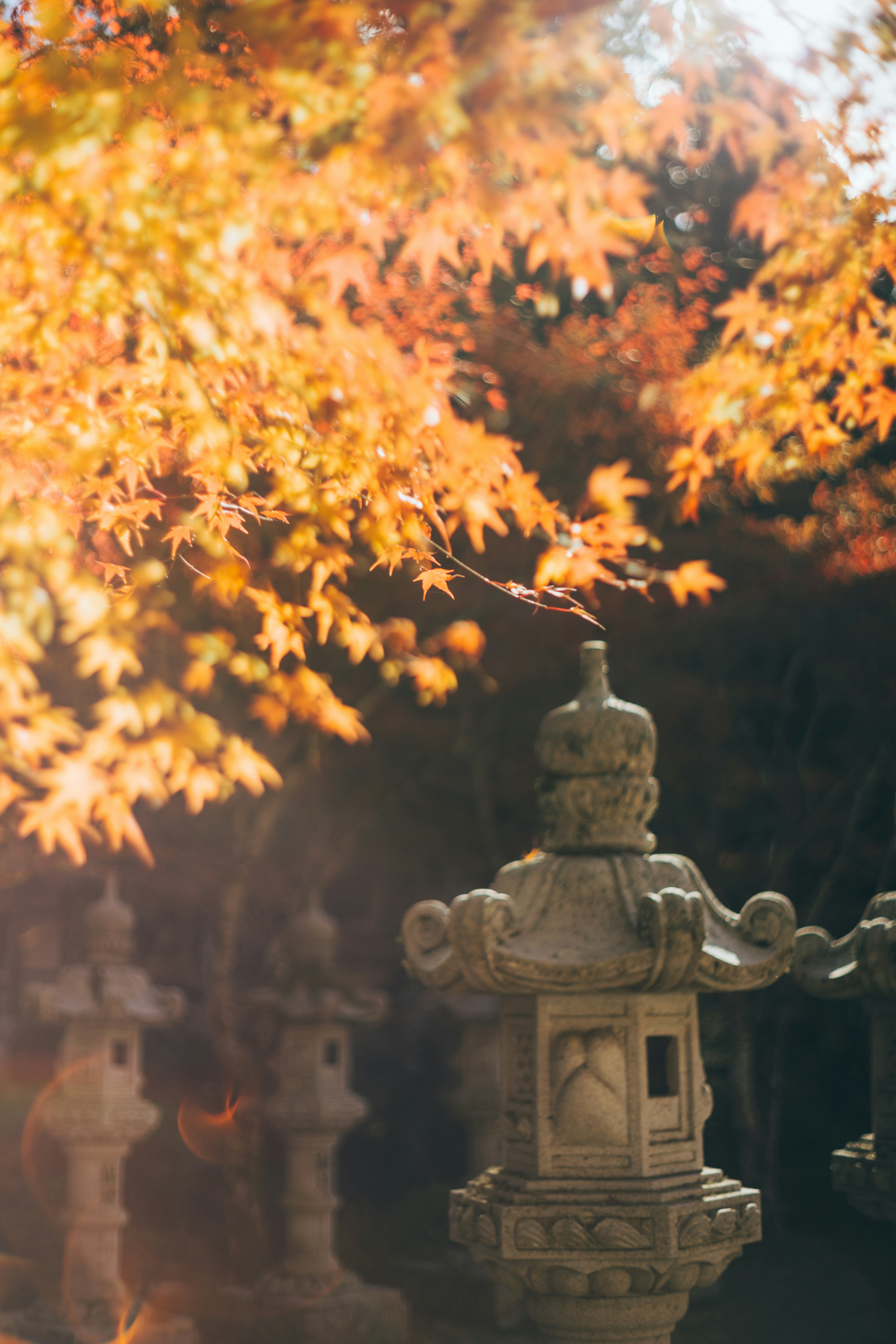 Stone lantern surrounded by vibrant autumn leaves