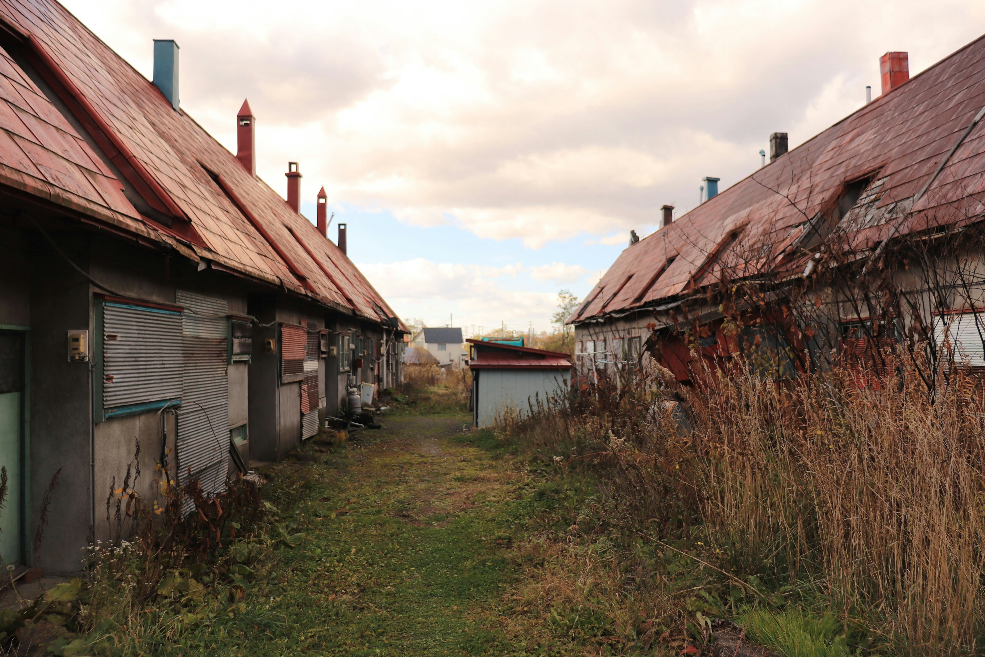 Path between weathered buildings with rusty roofs and overgrown grass