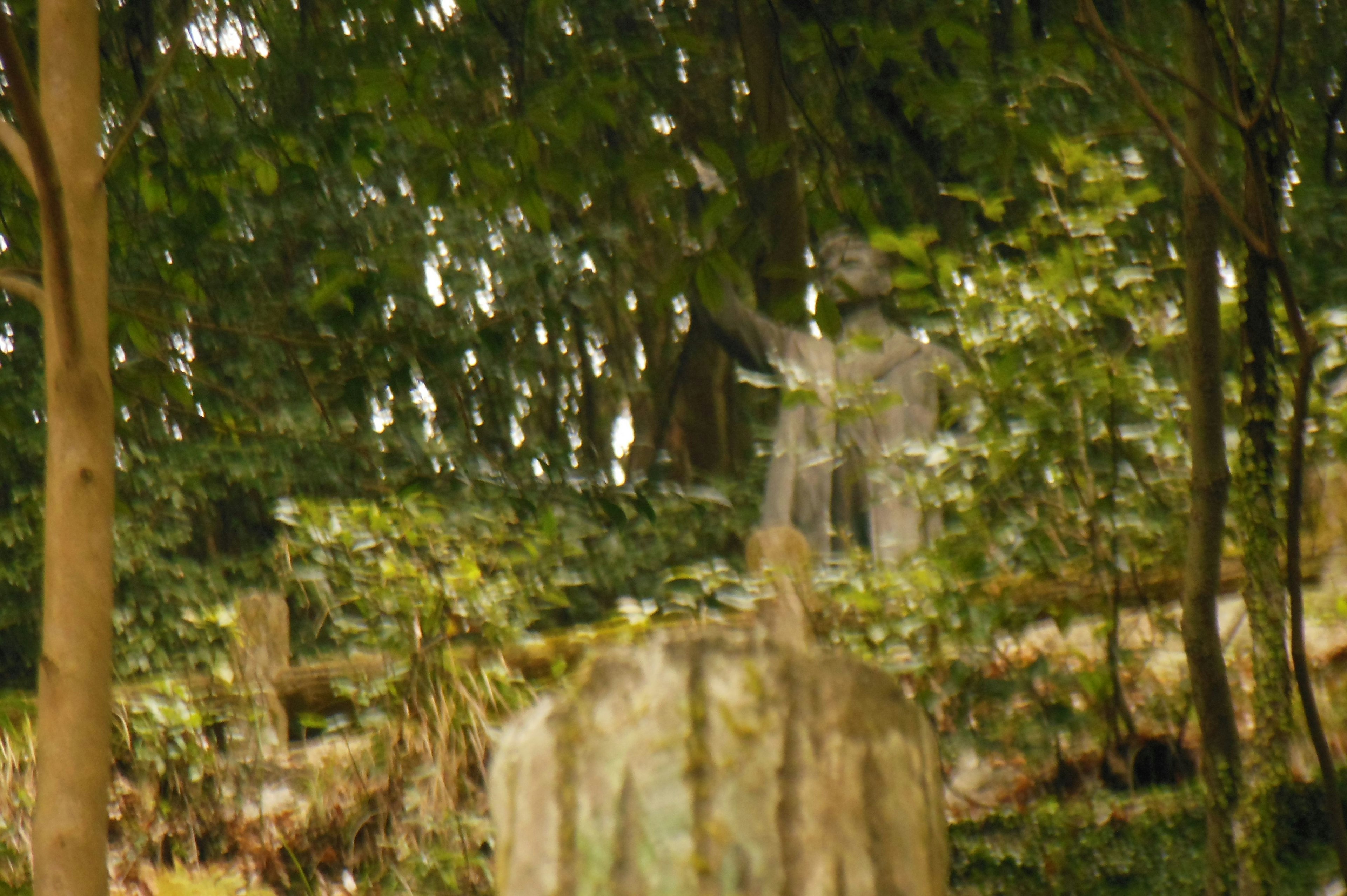 Spiritual sculpture in a forest surrounded by trees