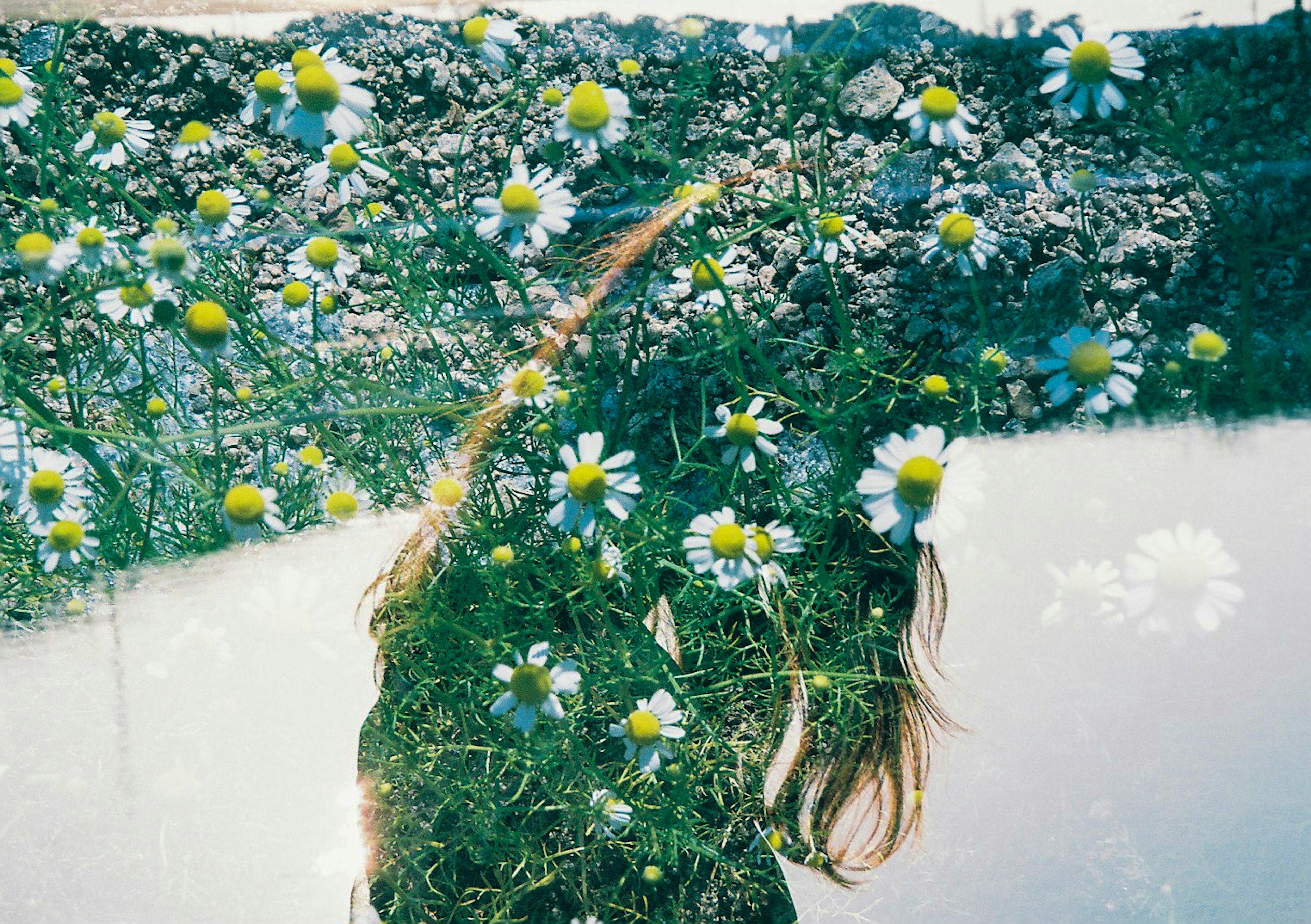 Silueta de una mujer con flores en el cabello