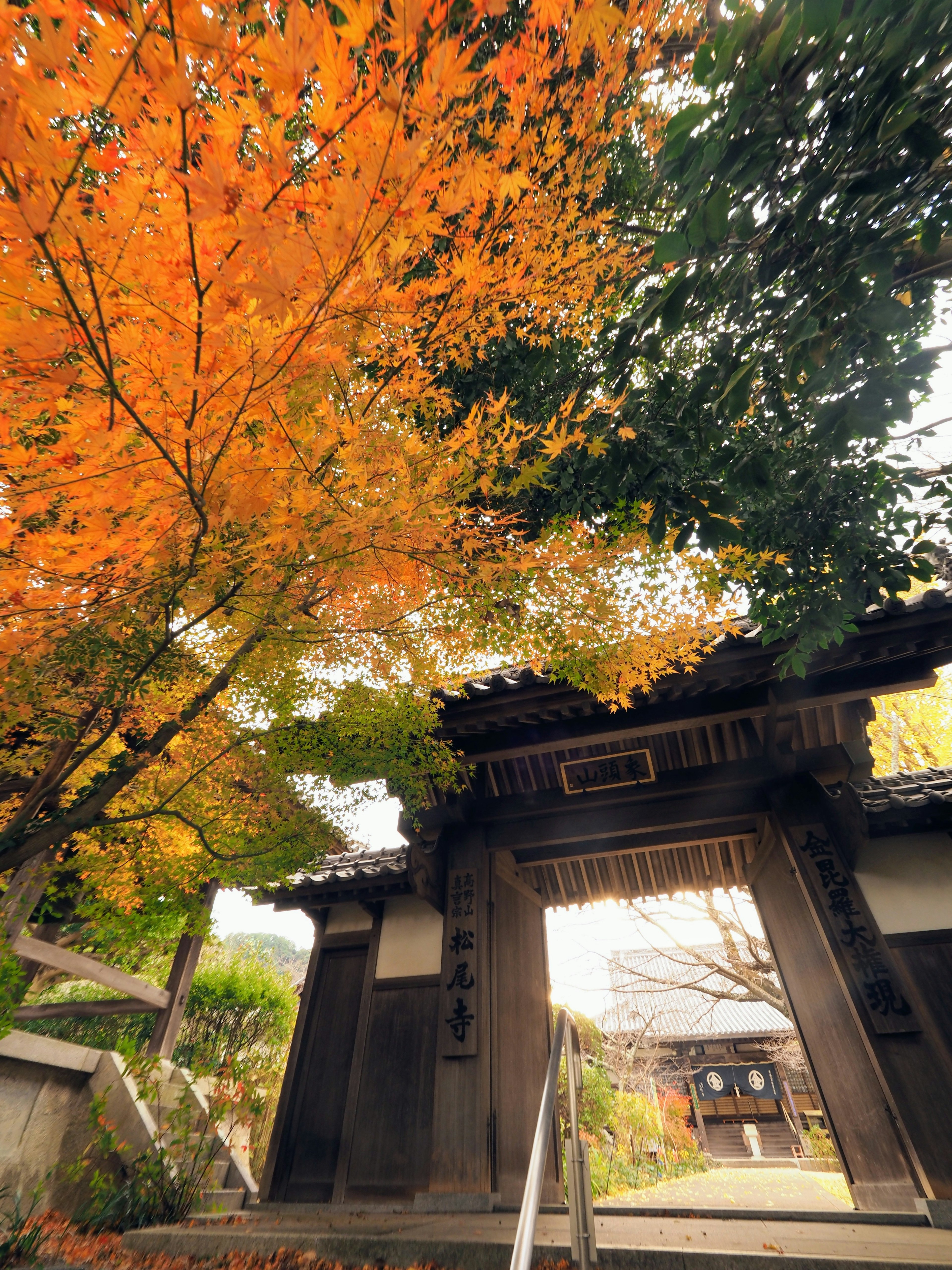 Porte japonaise traditionnelle entourée de feuillage d'automne