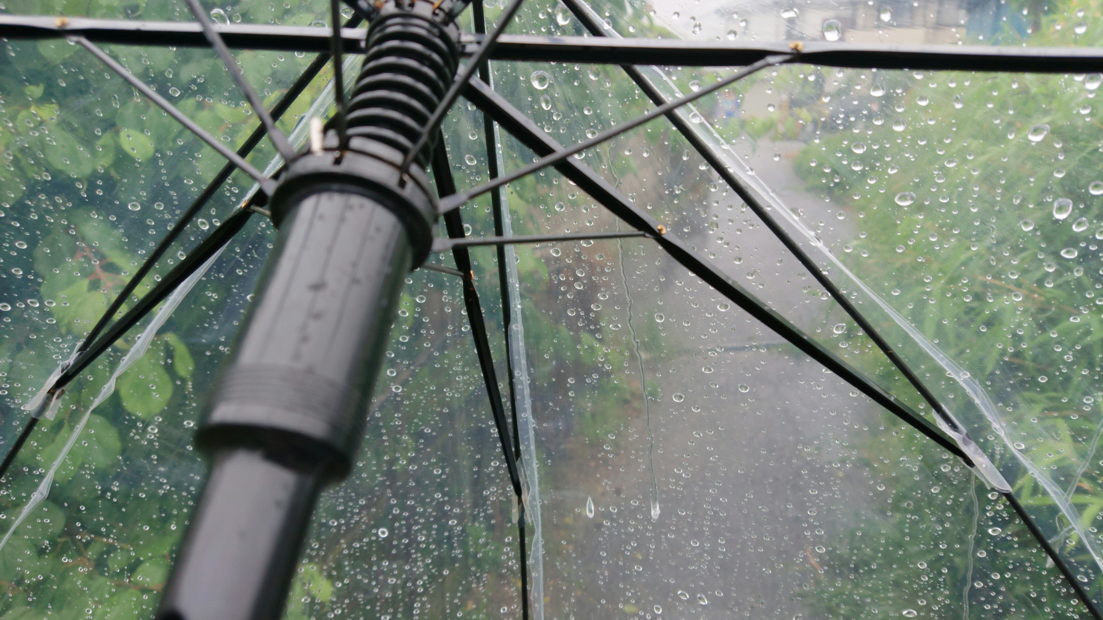 Vista della pioggia attraverso un ombrello trasparente con uno sfondo verde sfocato