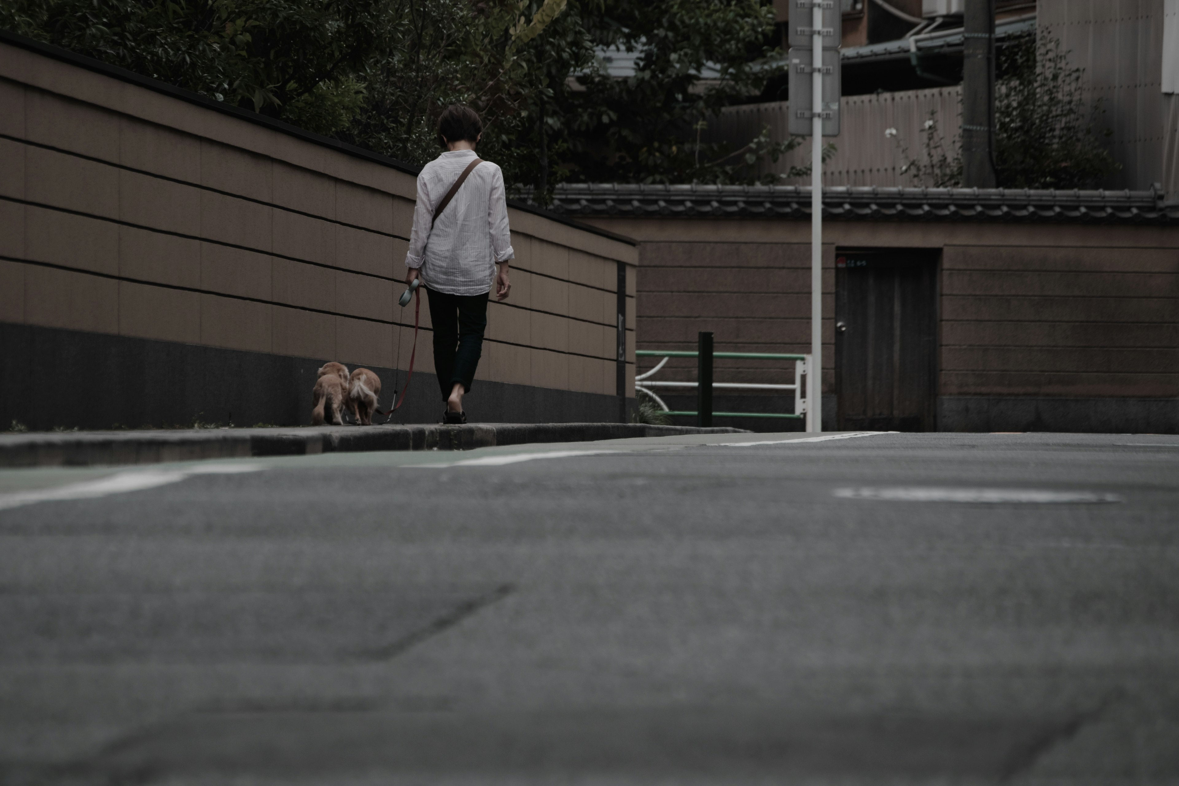 Una persona che porta a spasso un cane in una scena di strada tranquilla